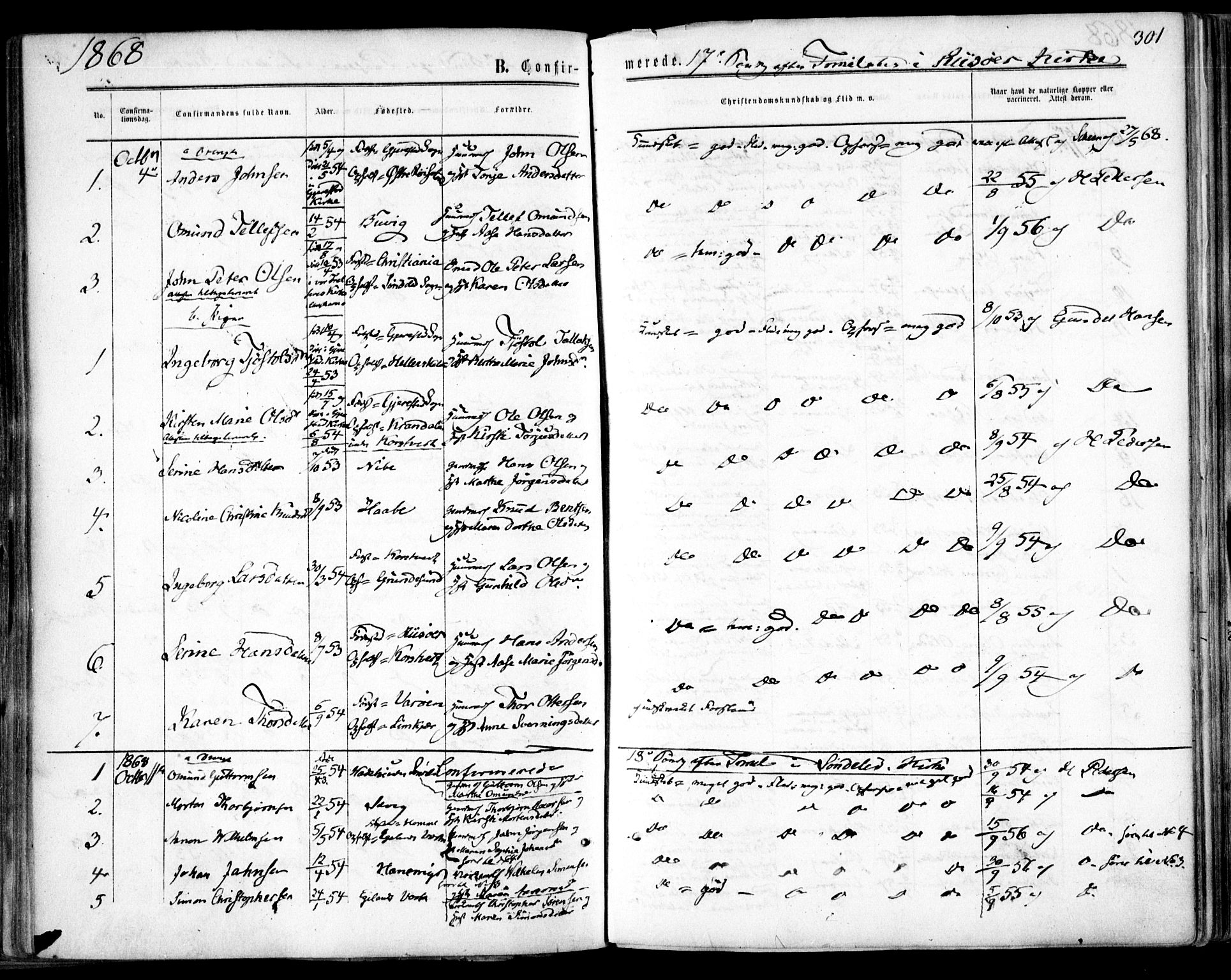 Søndeled sokneprestkontor, AV/SAK-1111-0038/F/Fa/L0003: Ministerialbok nr. A 3, 1861-1879, s. 301