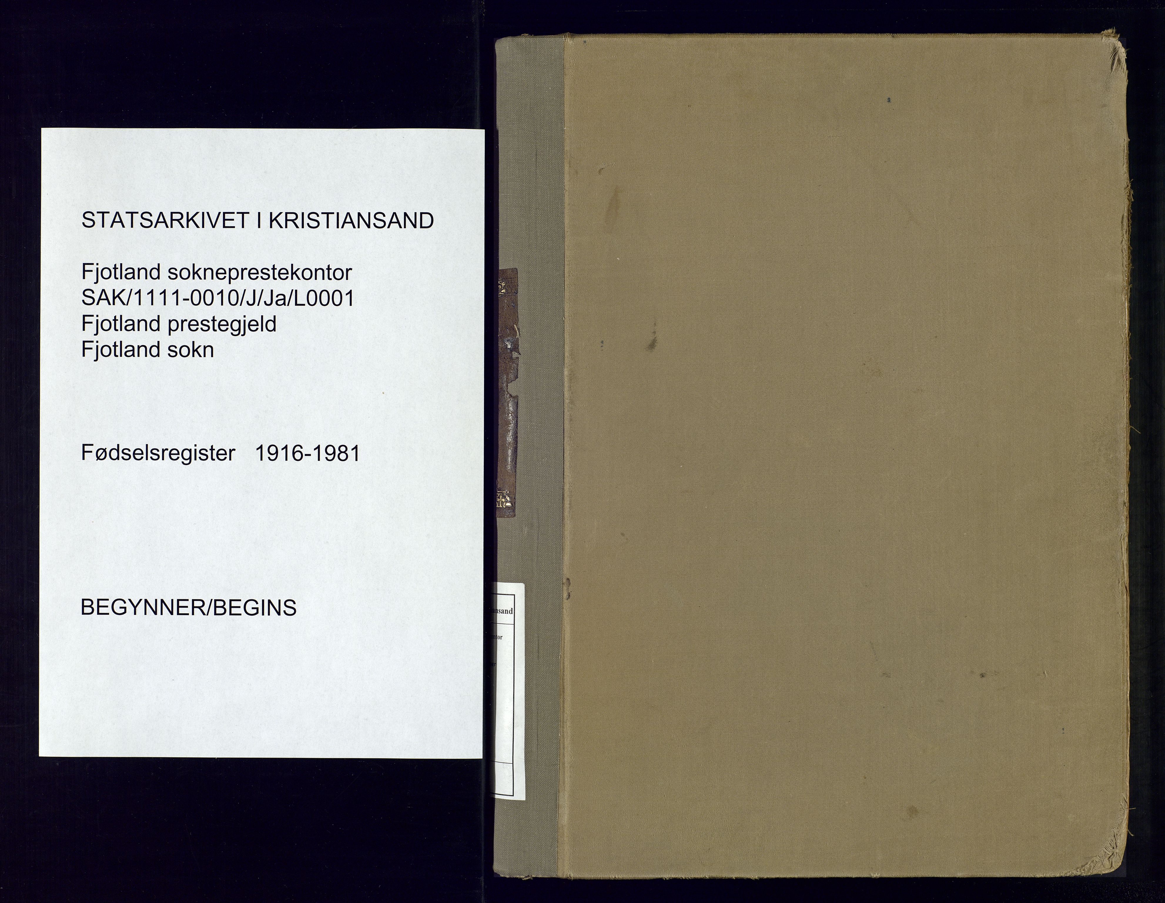 Fjotland sokneprestkontor, AV/SAK-1111-0010/J/Ja/L0001: Fødselsregister nr. 1, 1916-1981