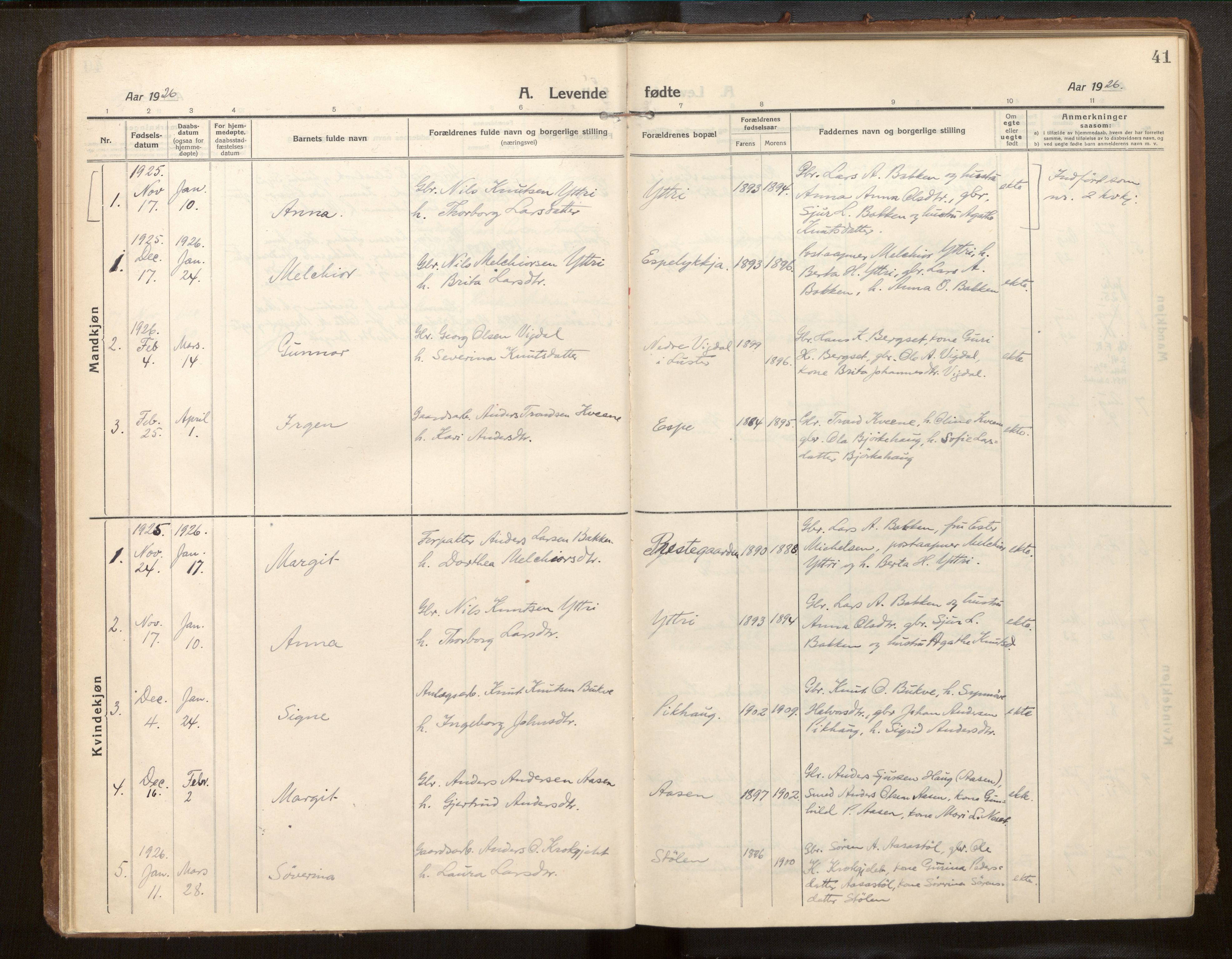 Jostedal sokneprestembete, AV/SAB-A-80601/H/Haa/Haab/L0002: Ministerialbok nr. B 2, 1915-1931, s. 41