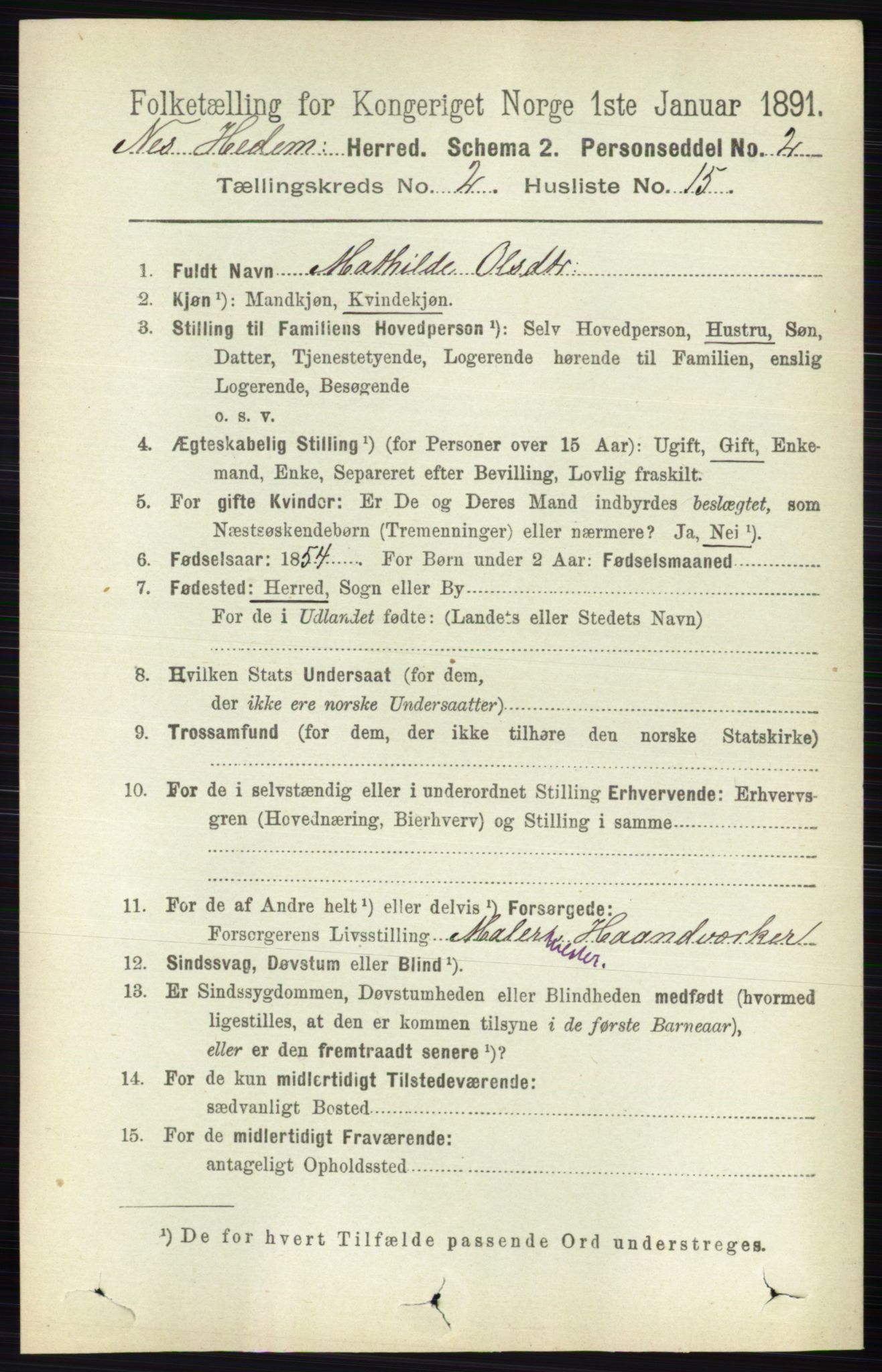 RA, Folketelling 1891 for 0411 Nes herred, 1891, s. 1161