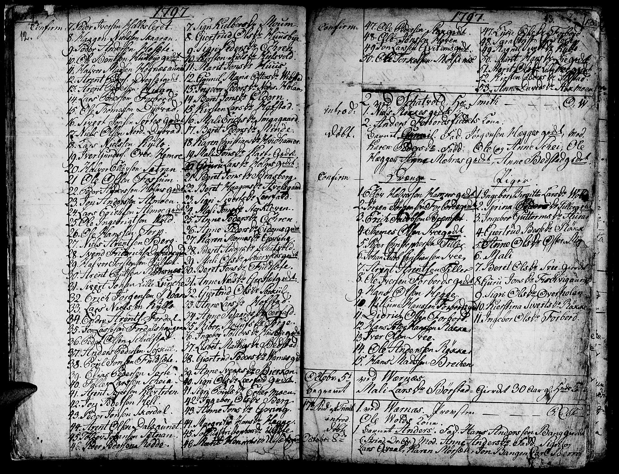Ministerialprotokoller, klokkerbøker og fødselsregistre - Nord-Trøndelag, AV/SAT-A-1458/709/L0060: Ministerialbok nr. 709A07, 1797-1815, s. 12-13