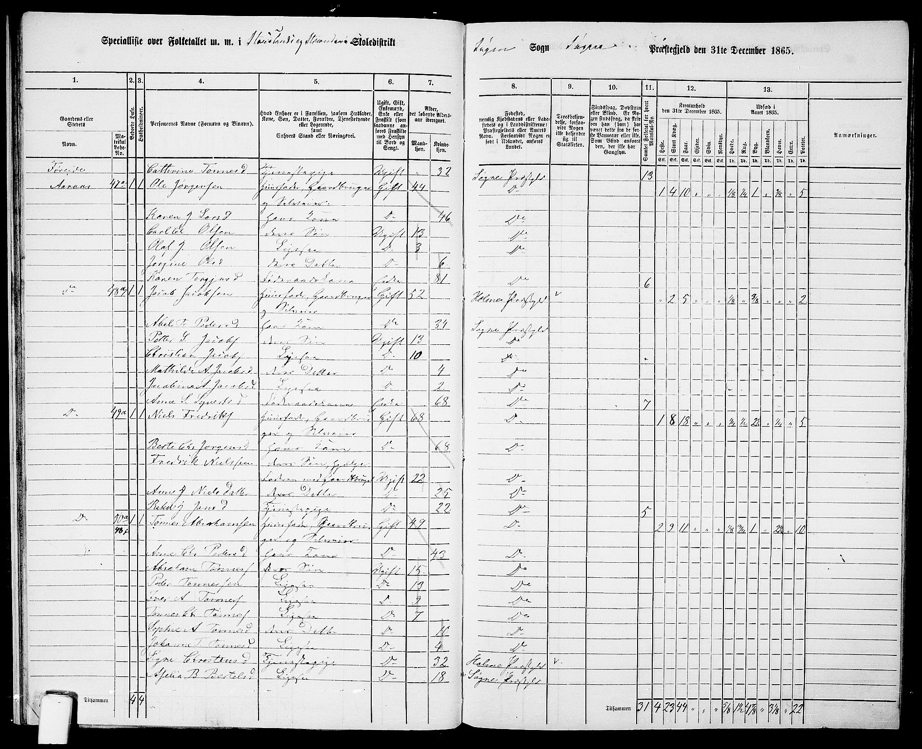 RA, Folketelling 1865 for 1018P Søgne prestegjeld, 1865, s. 33