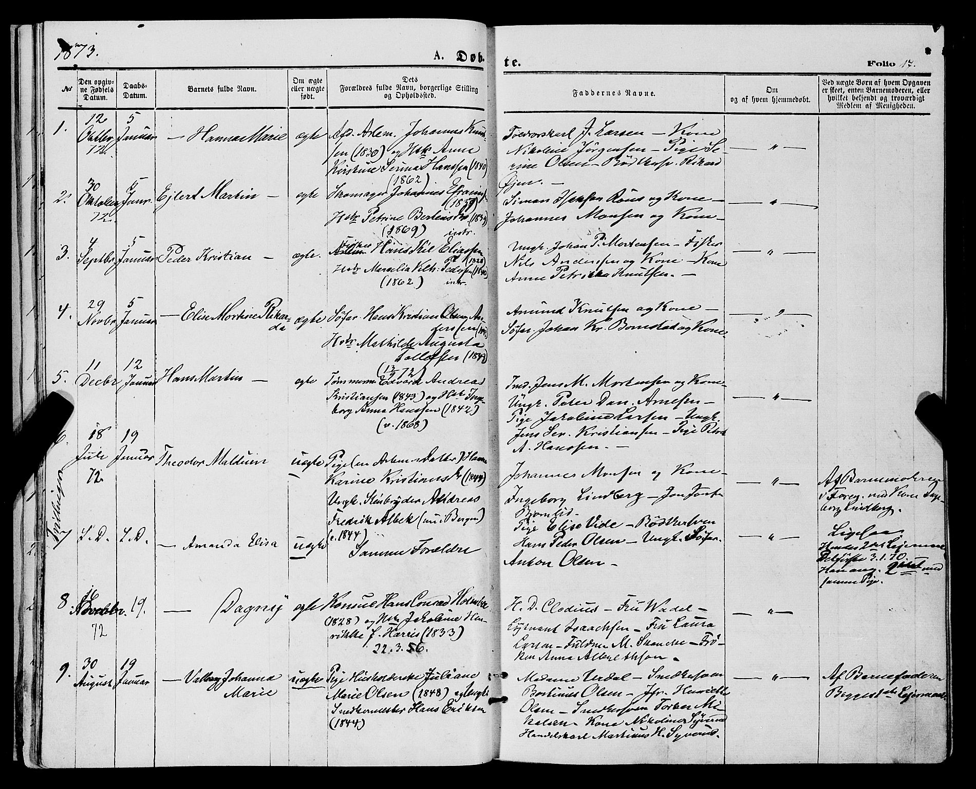 Tromsø sokneprestkontor/stiftsprosti/domprosti, AV/SATØ-S-1343/G/Ga/L0013kirke: Ministerialbok nr. 13, 1872-1877, s. 17