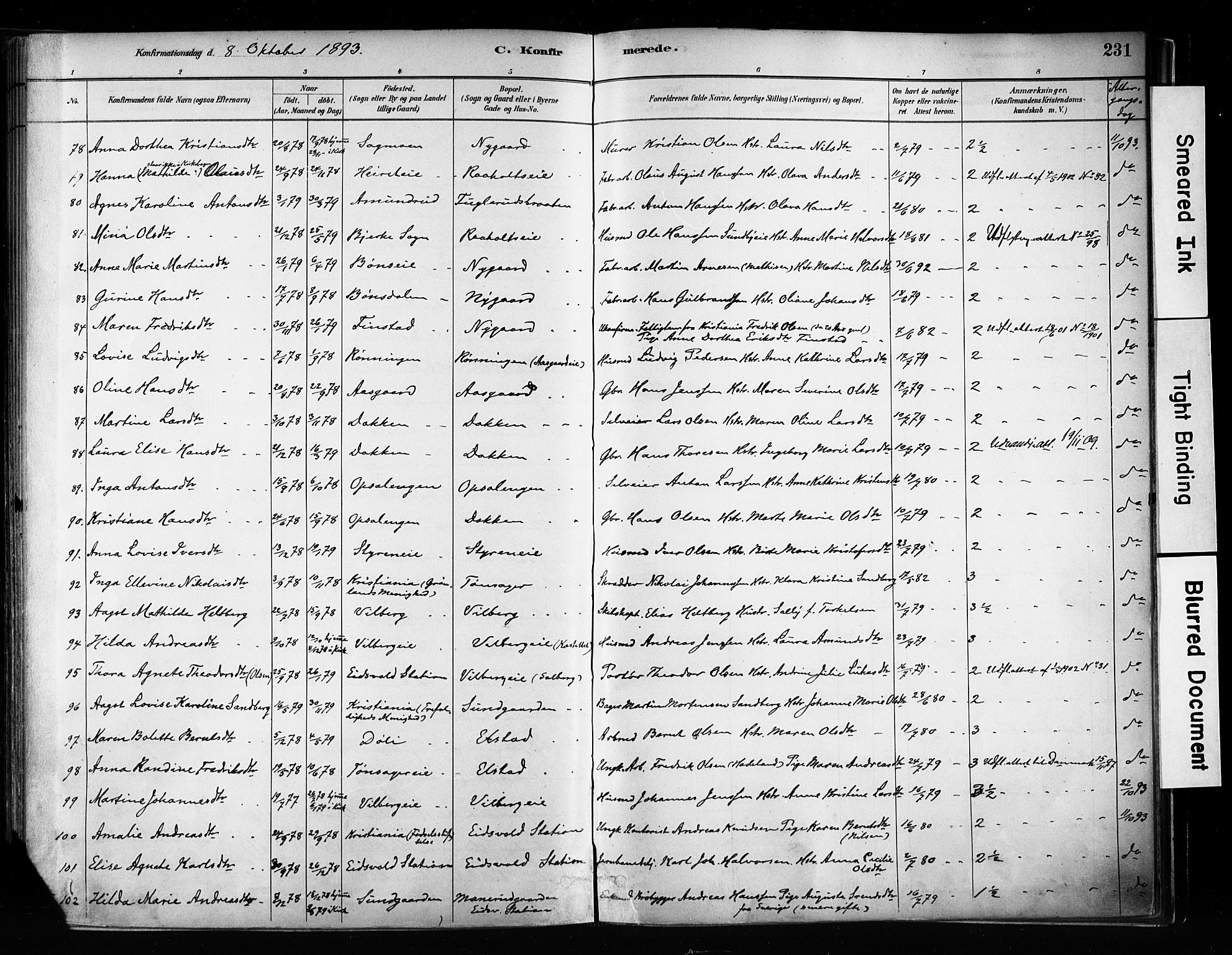 Eidsvoll prestekontor Kirkebøker, AV/SAO-A-10888/F/Fa/L0002: Ministerialbok nr. I 2, 1882-1895, s. 231