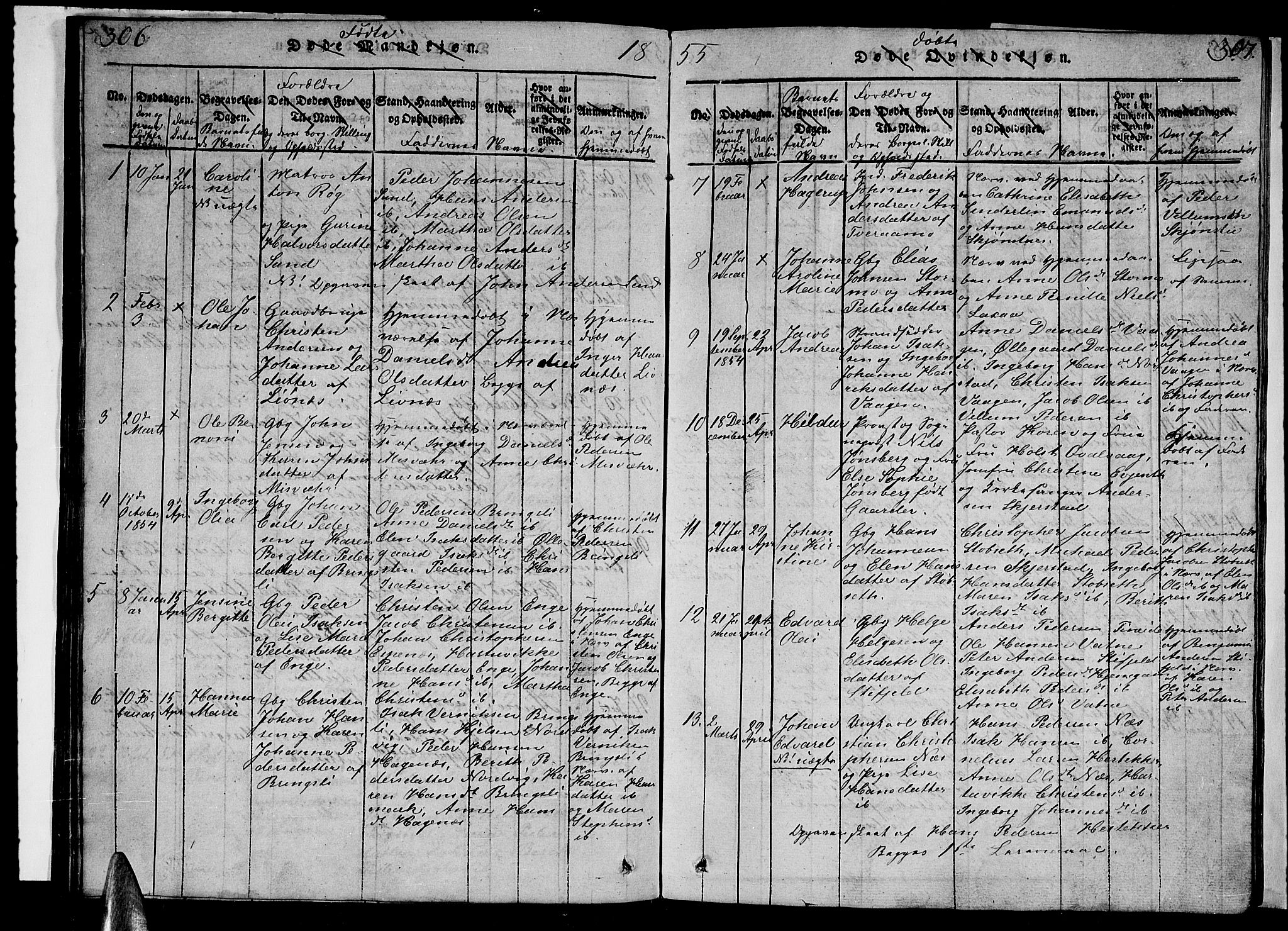 Ministerialprotokoller, klokkerbøker og fødselsregistre - Nordland, AV/SAT-A-1459/852/L0752: Klokkerbok nr. 852C03, 1840-1855, s. 306-307