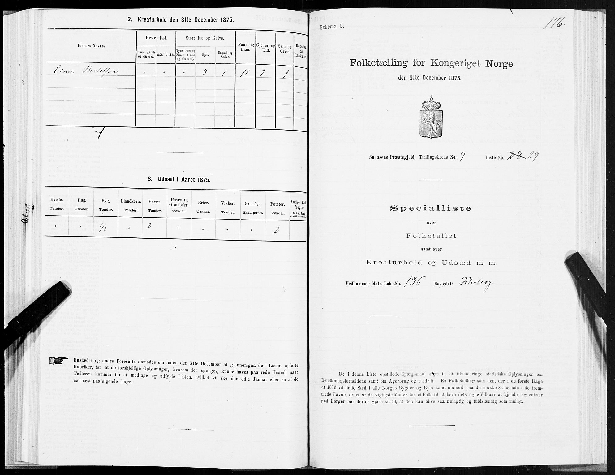SAT, Folketelling 1875 for 1736P Snåsa prestegjeld, 1875, s. 3176