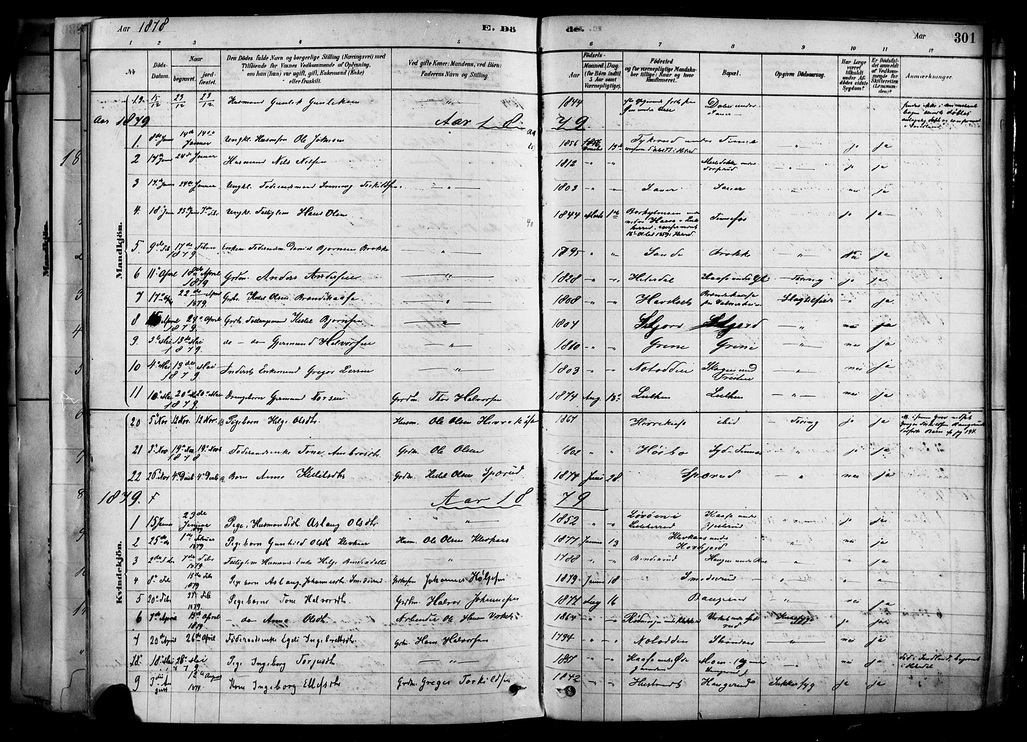 Heddal kirkebøker, AV/SAKO-A-268/F/Fa/L0008: Ministerialbok nr. I 8, 1878-1903, s. 301