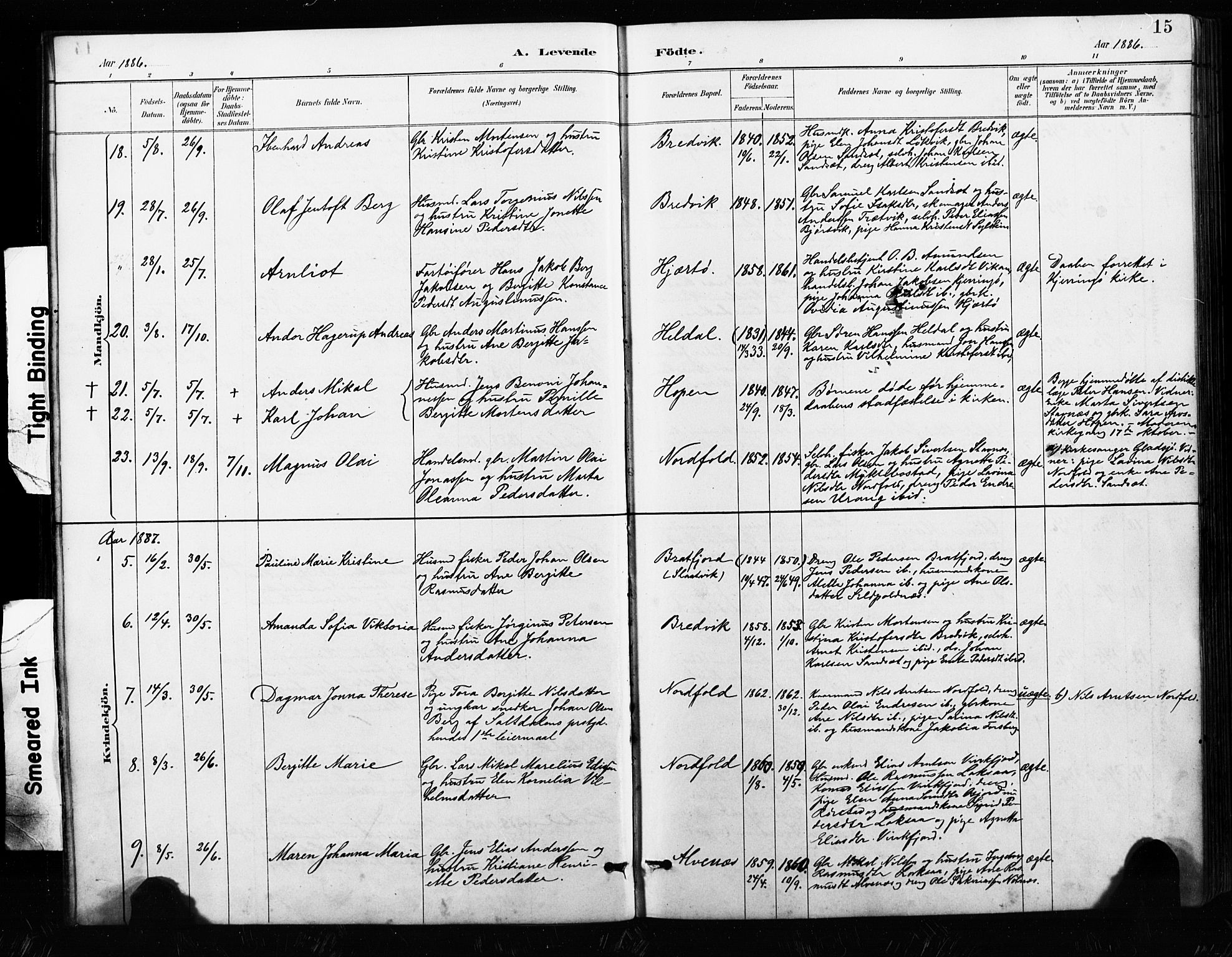 Ministerialprotokoller, klokkerbøker og fødselsregistre - Nordland, AV/SAT-A-1459/858/L0834: Klokkerbok nr. 858C01, 1884-1904, s. 15