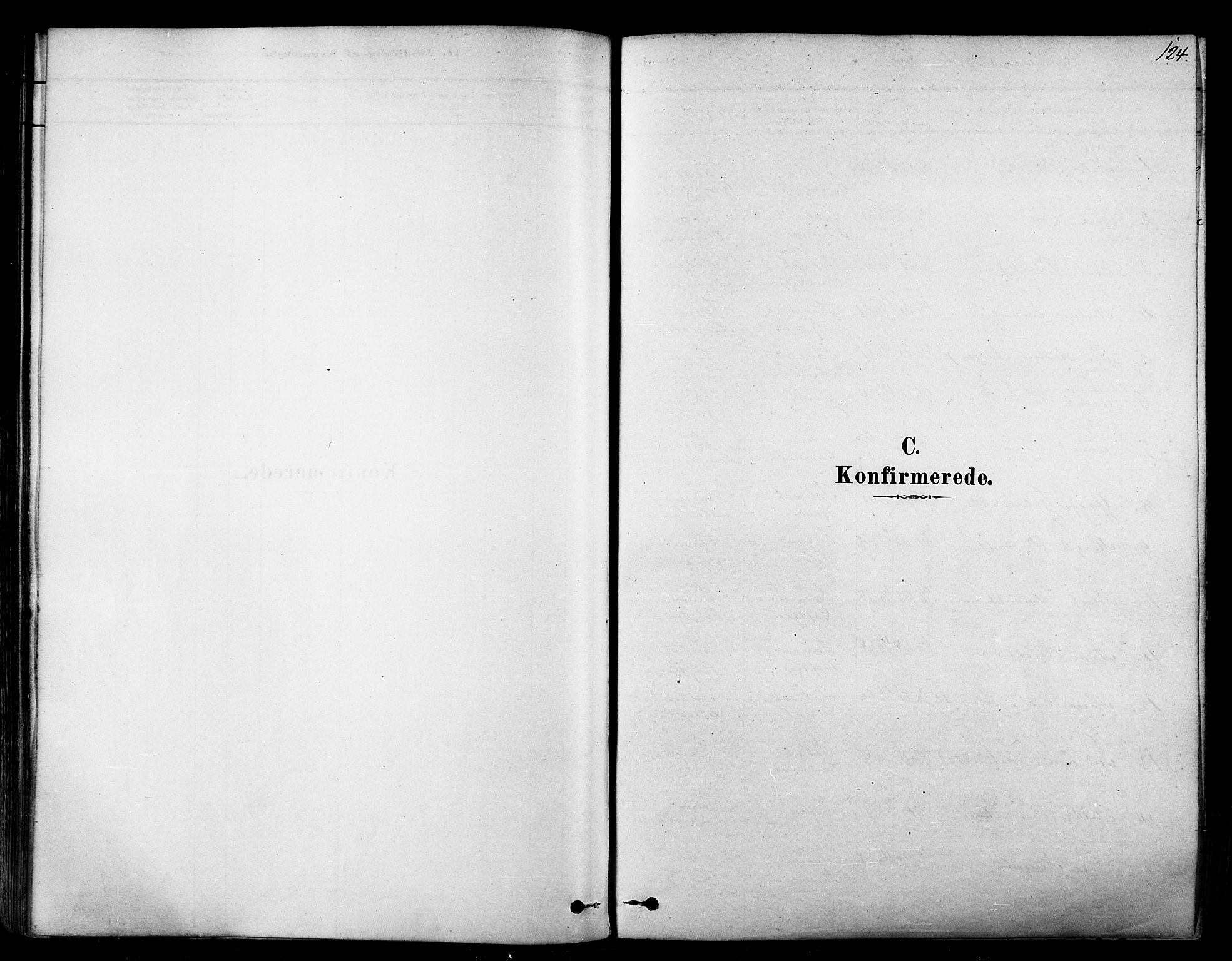 Tana sokneprestkontor, AV/SATØ-S-1334/H/Ha/L0004kirke: Ministerialbok nr. 4, 1878-1891, s. 124