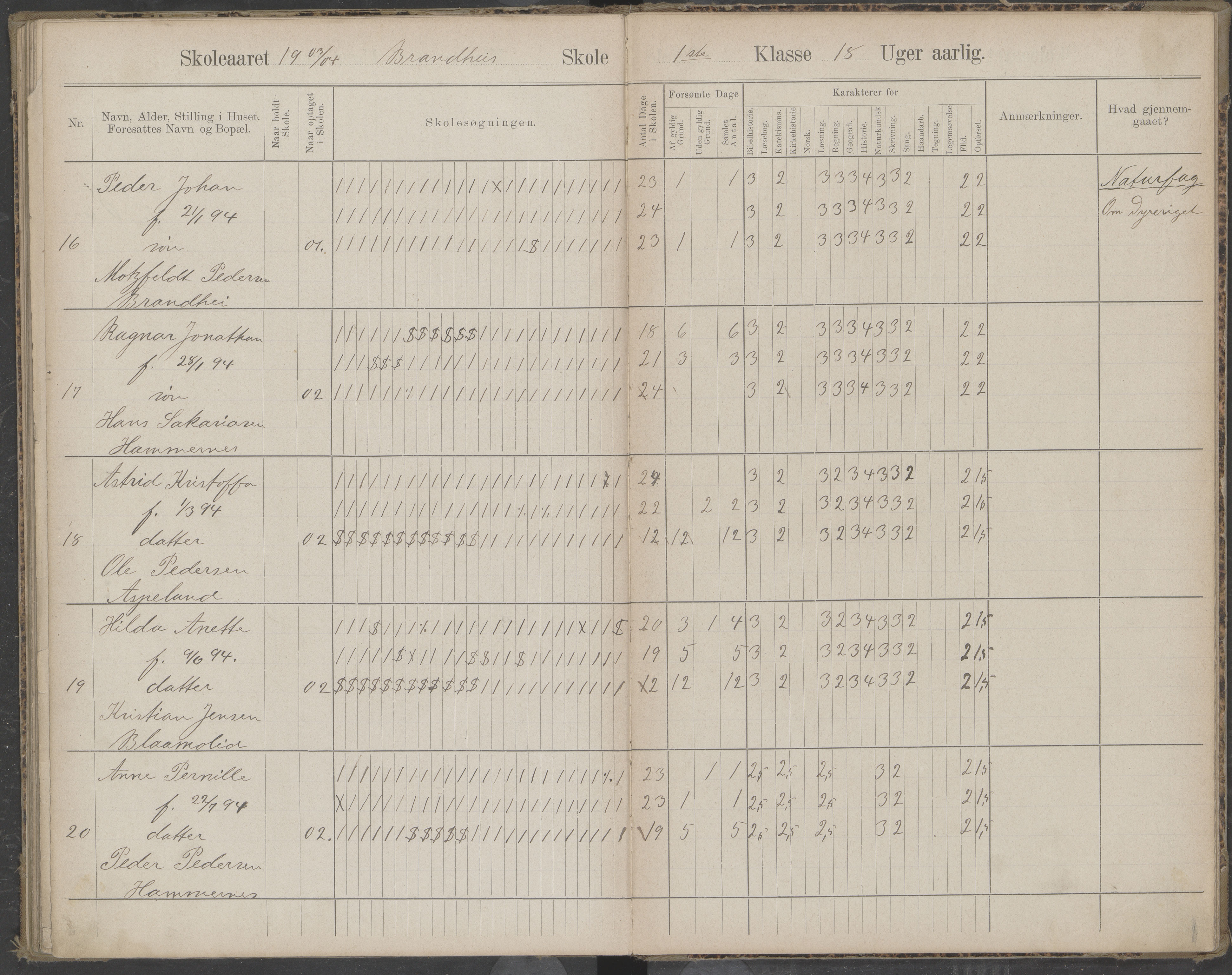 Beiarn kommune. Brandhei skolekrets, AIN/K-18390.510.03/442/L0003: Karakter/oversiktsprotokoll, 1893-1910