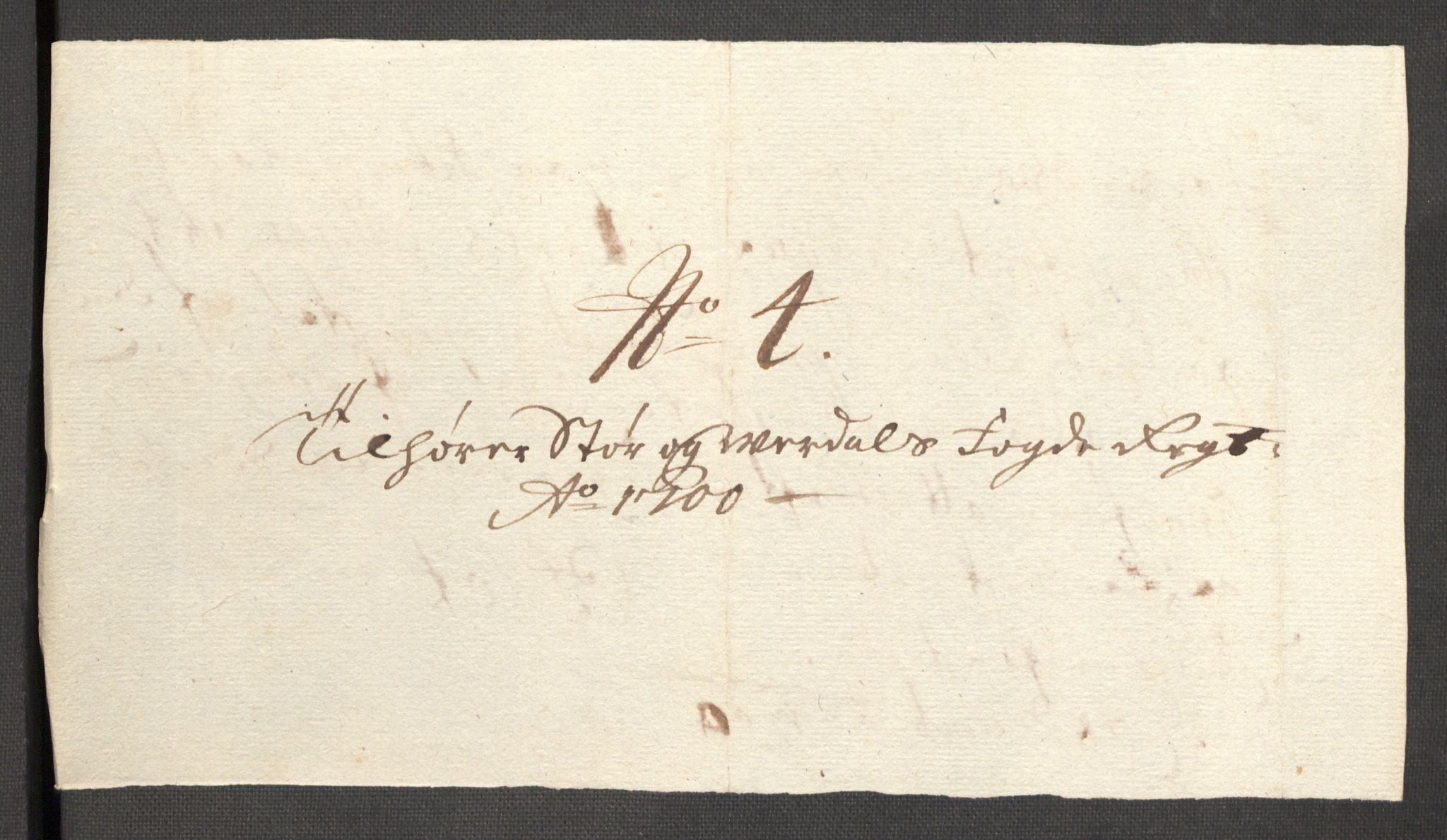 Rentekammeret inntil 1814, Reviderte regnskaper, Fogderegnskap, AV/RA-EA-4092/R62/L4192: Fogderegnskap Stjørdal og Verdal, 1700, s. 221