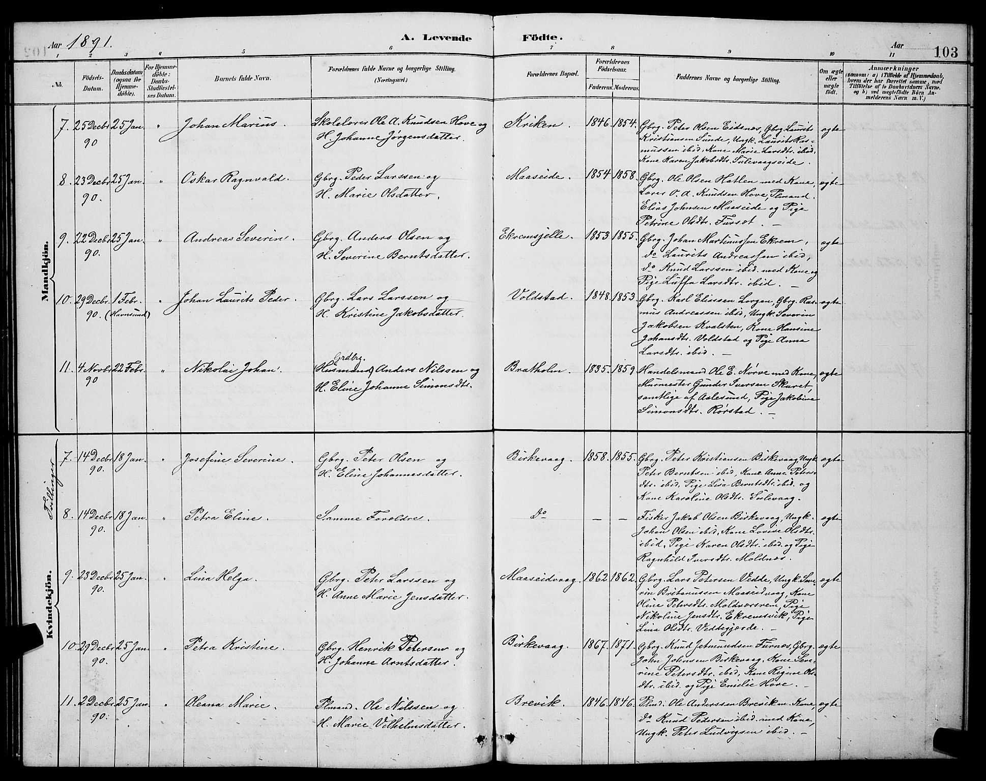 Ministerialprotokoller, klokkerbøker og fødselsregistre - Møre og Romsdal, AV/SAT-A-1454/528/L0431: Klokkerbok nr. 528C12, 1885-1898, s. 103