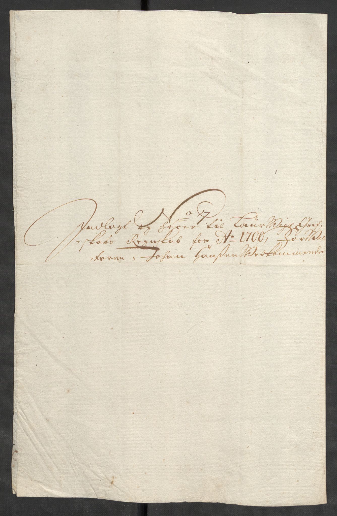 Rentekammeret inntil 1814, Reviderte regnskaper, Fogderegnskap, RA/EA-4092/R33/L1976: Fogderegnskap Larvik grevskap, 1698-1701, s. 281