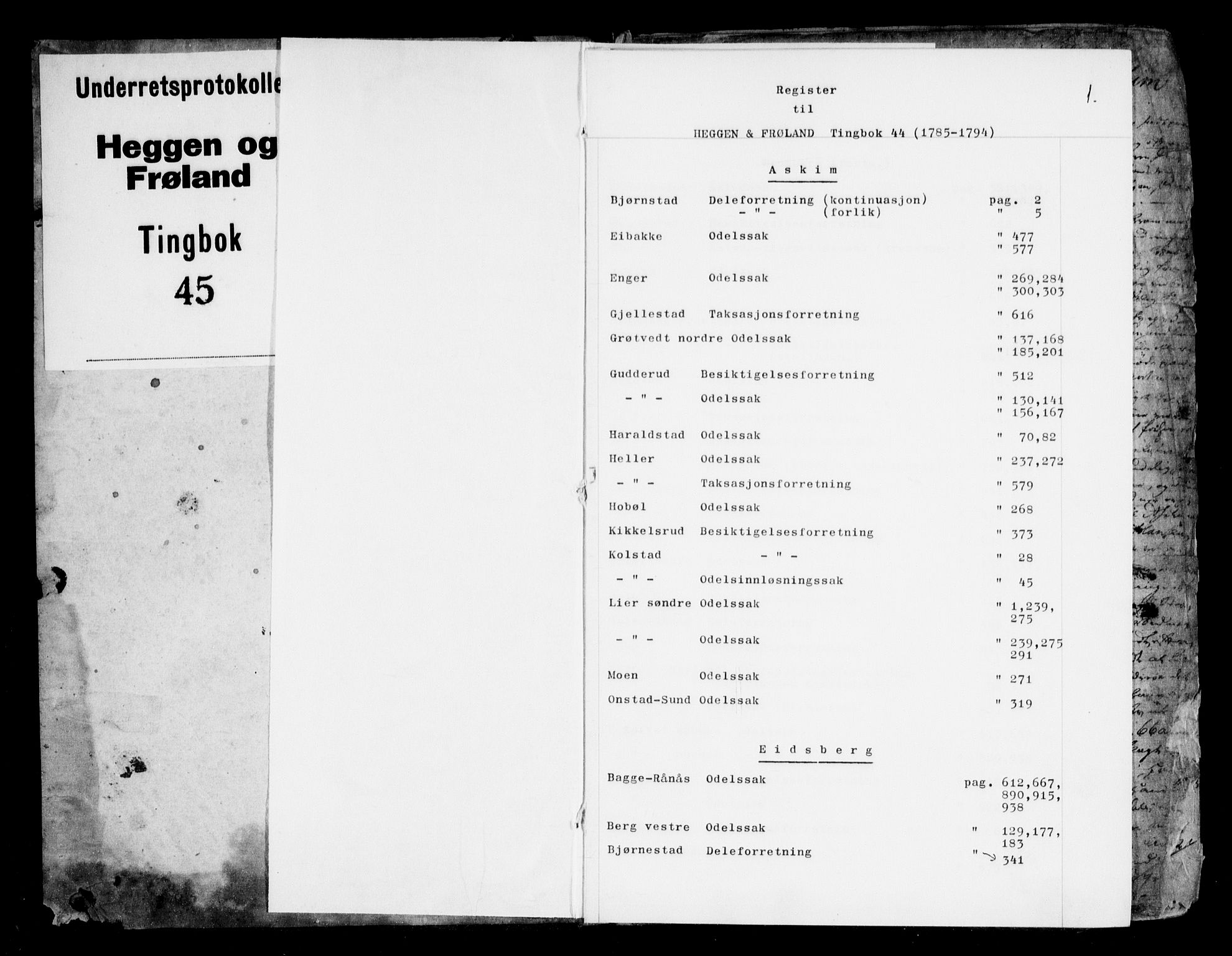 Heggen og Frøland sorenskriveri I, SAO/A-11556/F/Fb/L0044: Tingbok, 1785-1794, s. 1