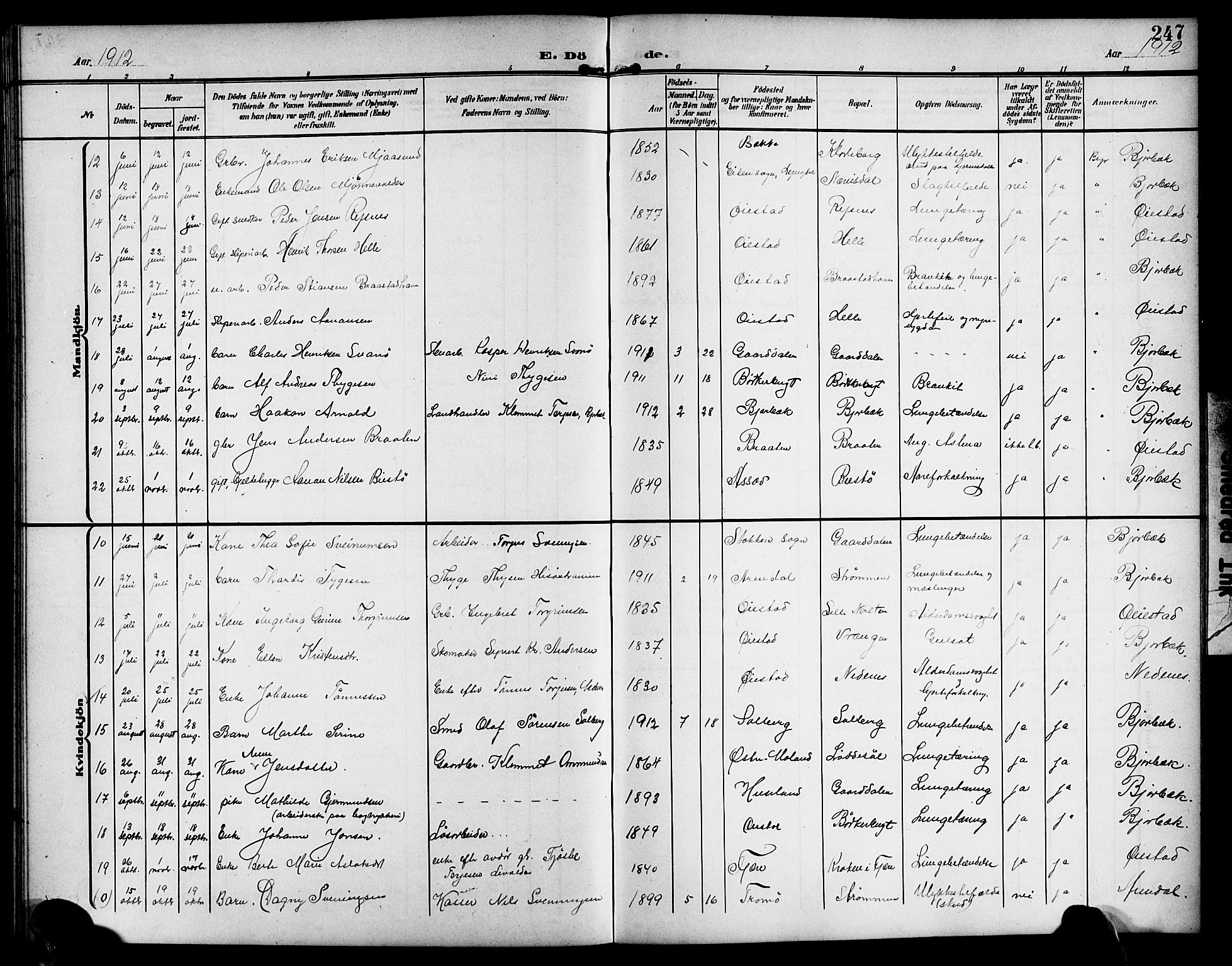 Øyestad sokneprestkontor, AV/SAK-1111-0049/F/Fb/L0011: Klokkerbok nr. B 11, 1906-1918, s. 247