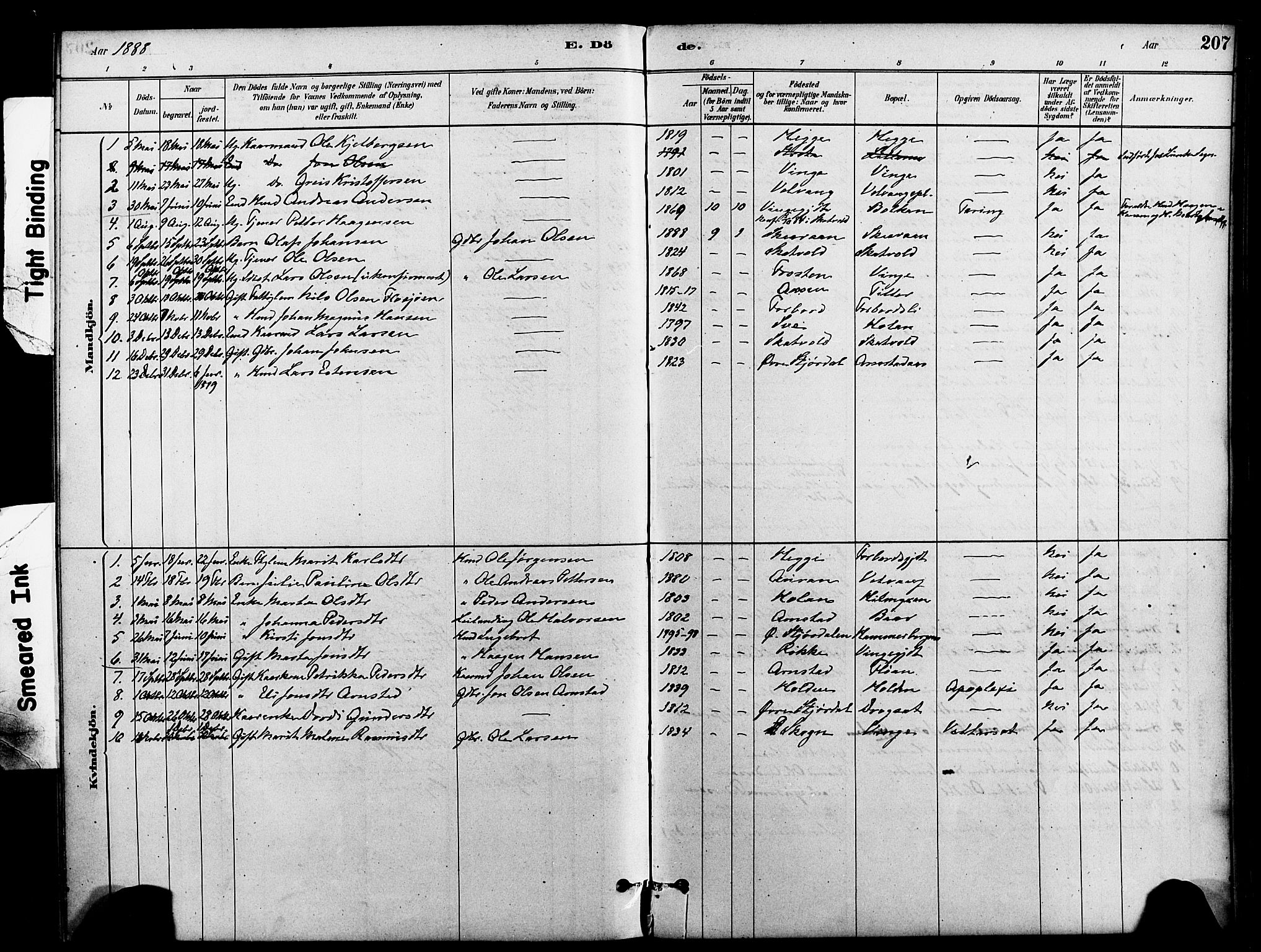 Ministerialprotokoller, klokkerbøker og fødselsregistre - Nord-Trøndelag, SAT/A-1458/712/L0100: Ministerialbok nr. 712A01, 1880-1900, s. 207