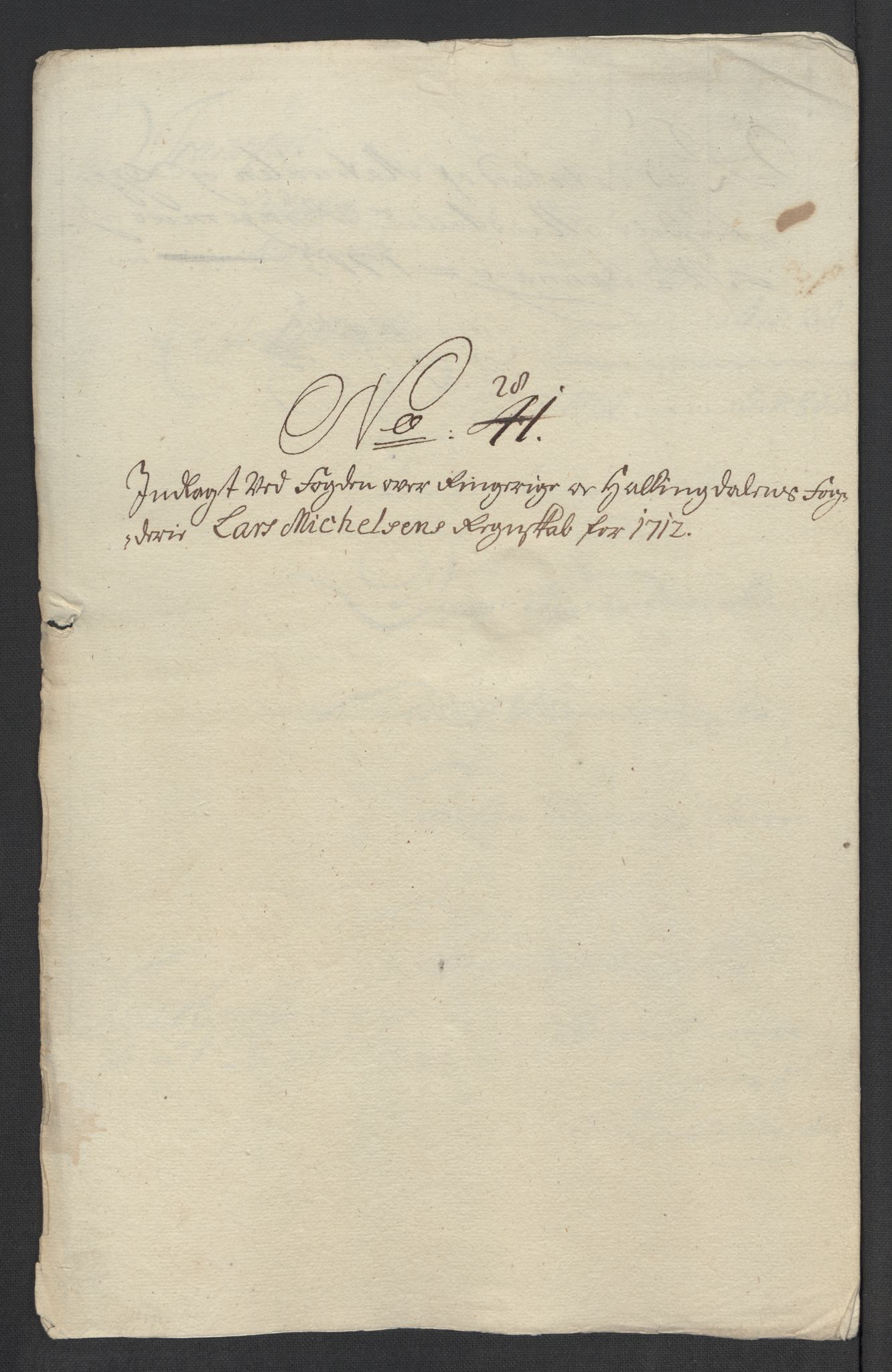 Rentekammeret inntil 1814, Reviderte regnskaper, Fogderegnskap, RA/EA-4092/R23/L1470: Fogderegnskap Ringerike og Hallingdal, 1712, s. 217