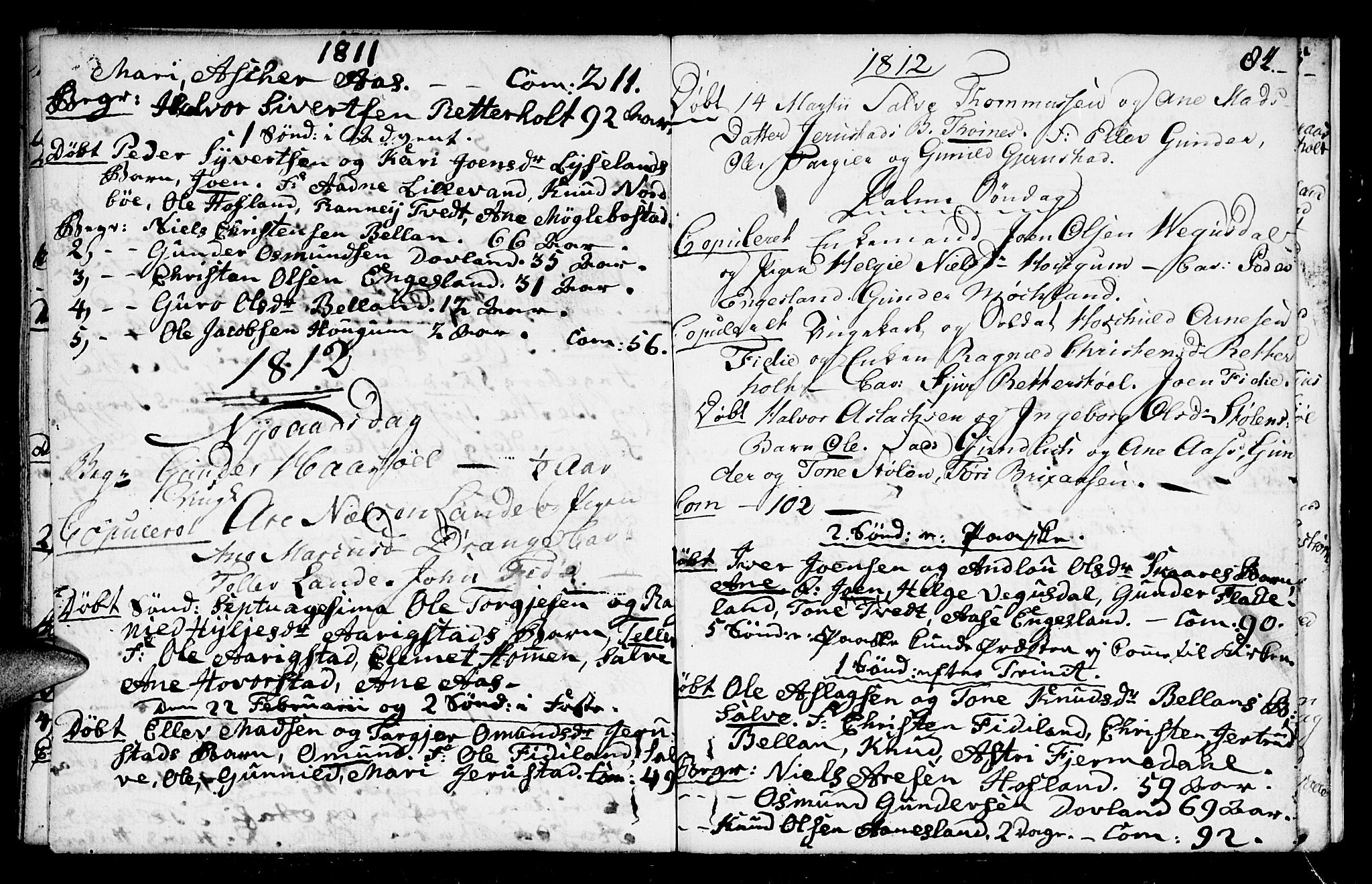Herefoss sokneprestkontor, SAK/1111-0019/F/Fa/Fab/L0002: Ministerialbok nr. A 2, 1780-1816, s. 84