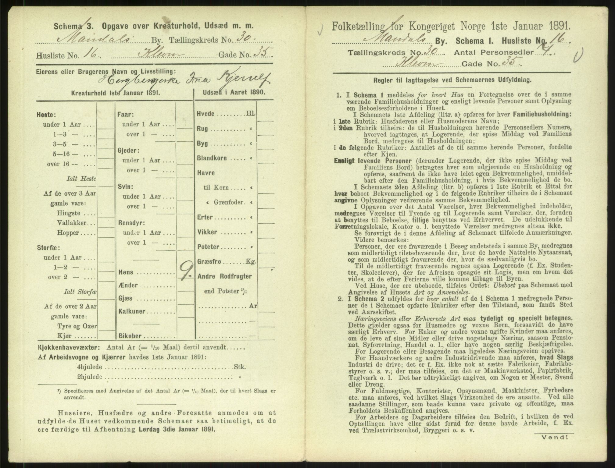 RA, Folketelling 1891 for 1002 Mandal ladested, 1891, s. 1377