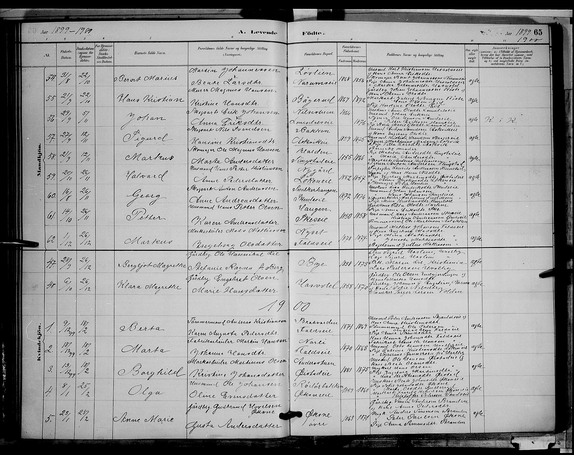 Søndre Land prestekontor, SAH/PREST-122/L/L0002: Klokkerbok nr. 2, 1884-1900, s. 65