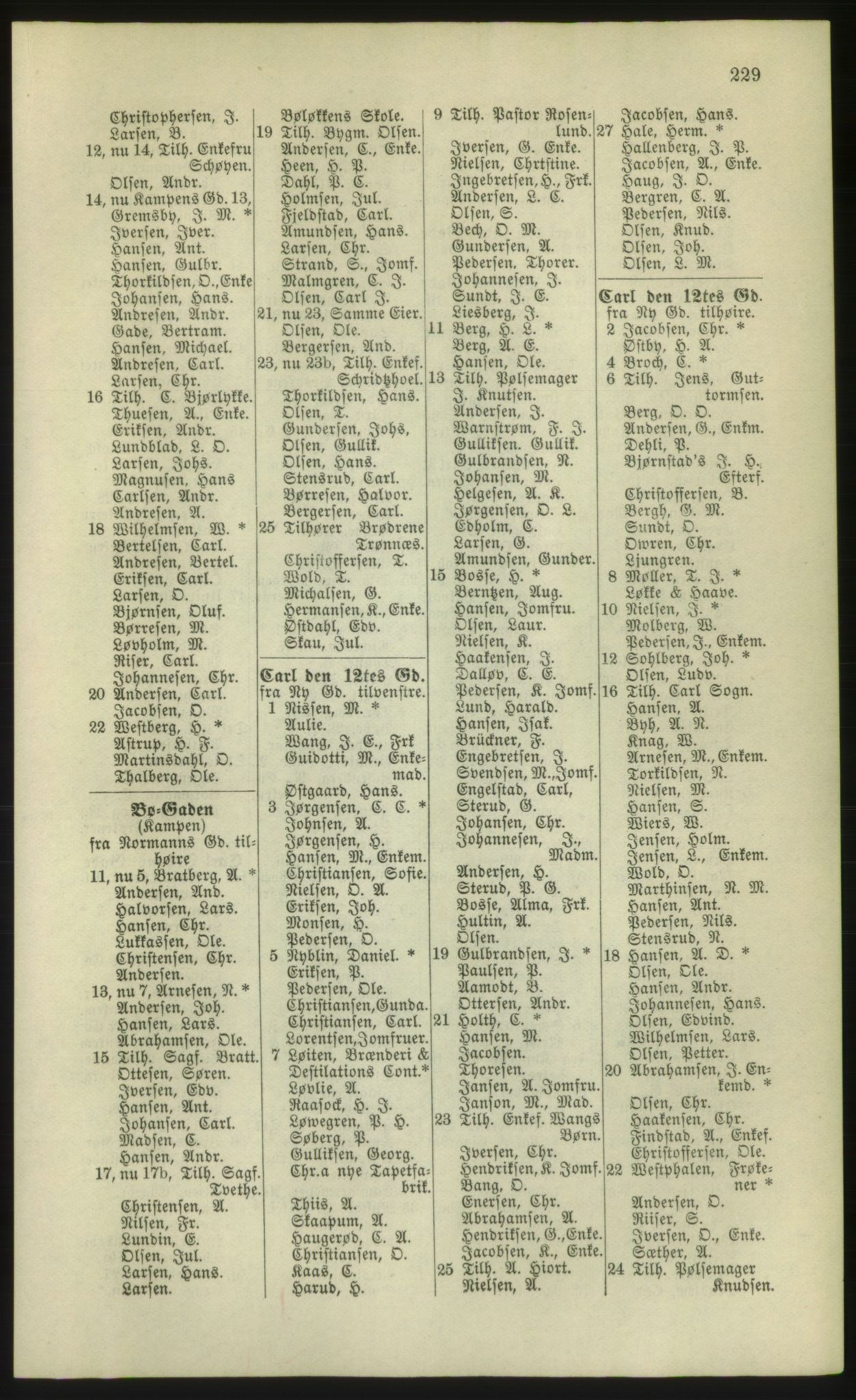 Kristiania/Oslo adressebok, PUBL/-, 1881, s. 229