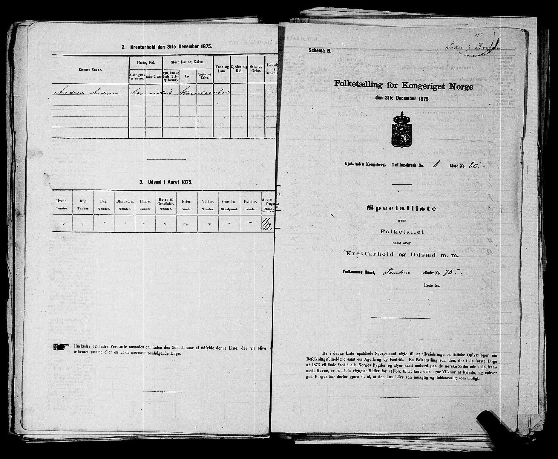 SAKO, Folketelling 1875 for 0604B Kongsberg prestegjeld, Kongsberg kjøpstad, 1875, s. 206