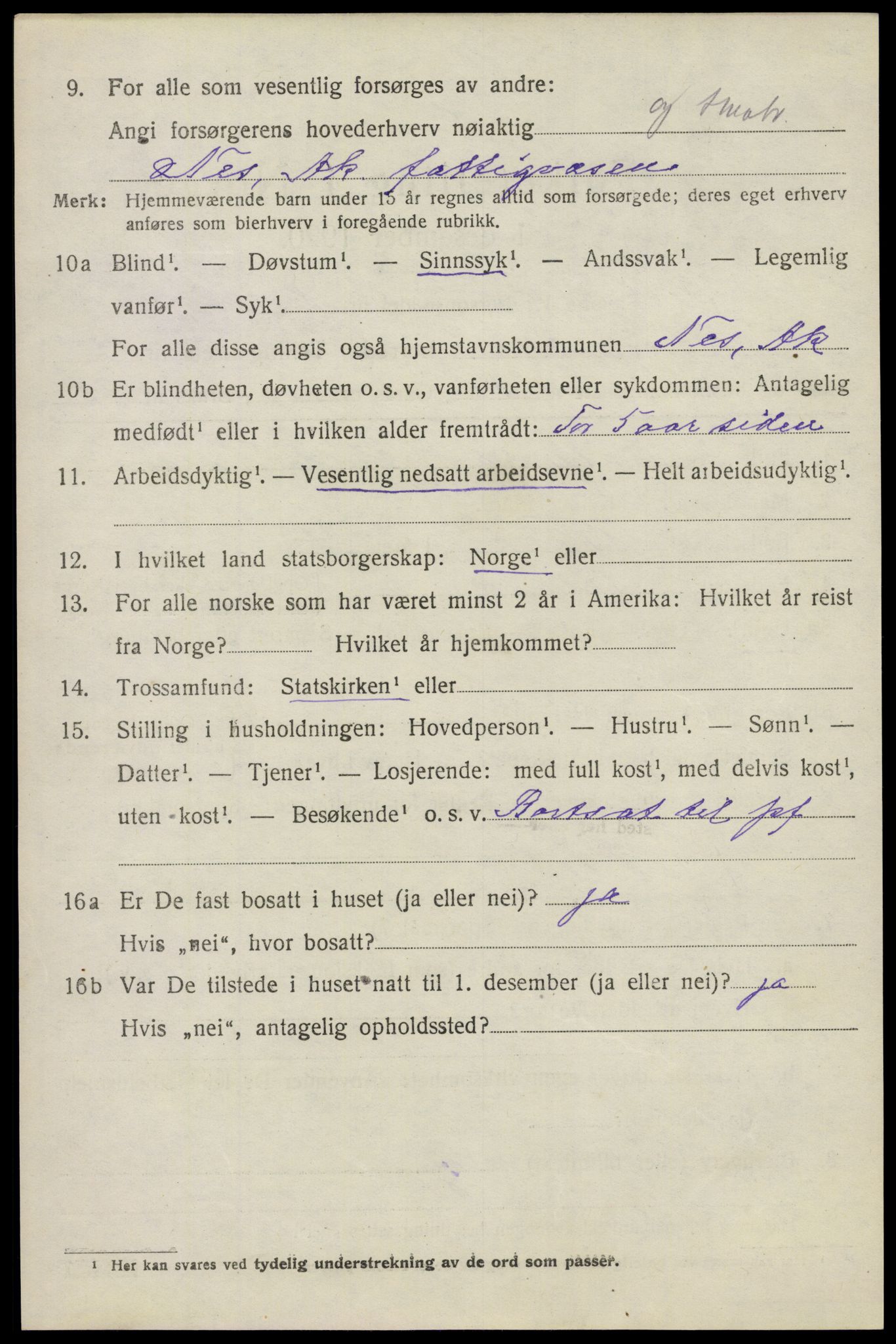 SAO, Folketelling 1920 for 0236 Nes herred, 1920, s. 7097