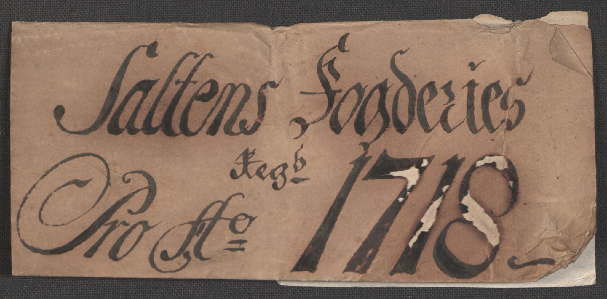 Rentekammeret inntil 1814, Reviderte regnskaper, Fogderegnskap, RA/EA-4092/R66/L4588: Fogderegnskap Salten, 1718, s. 3