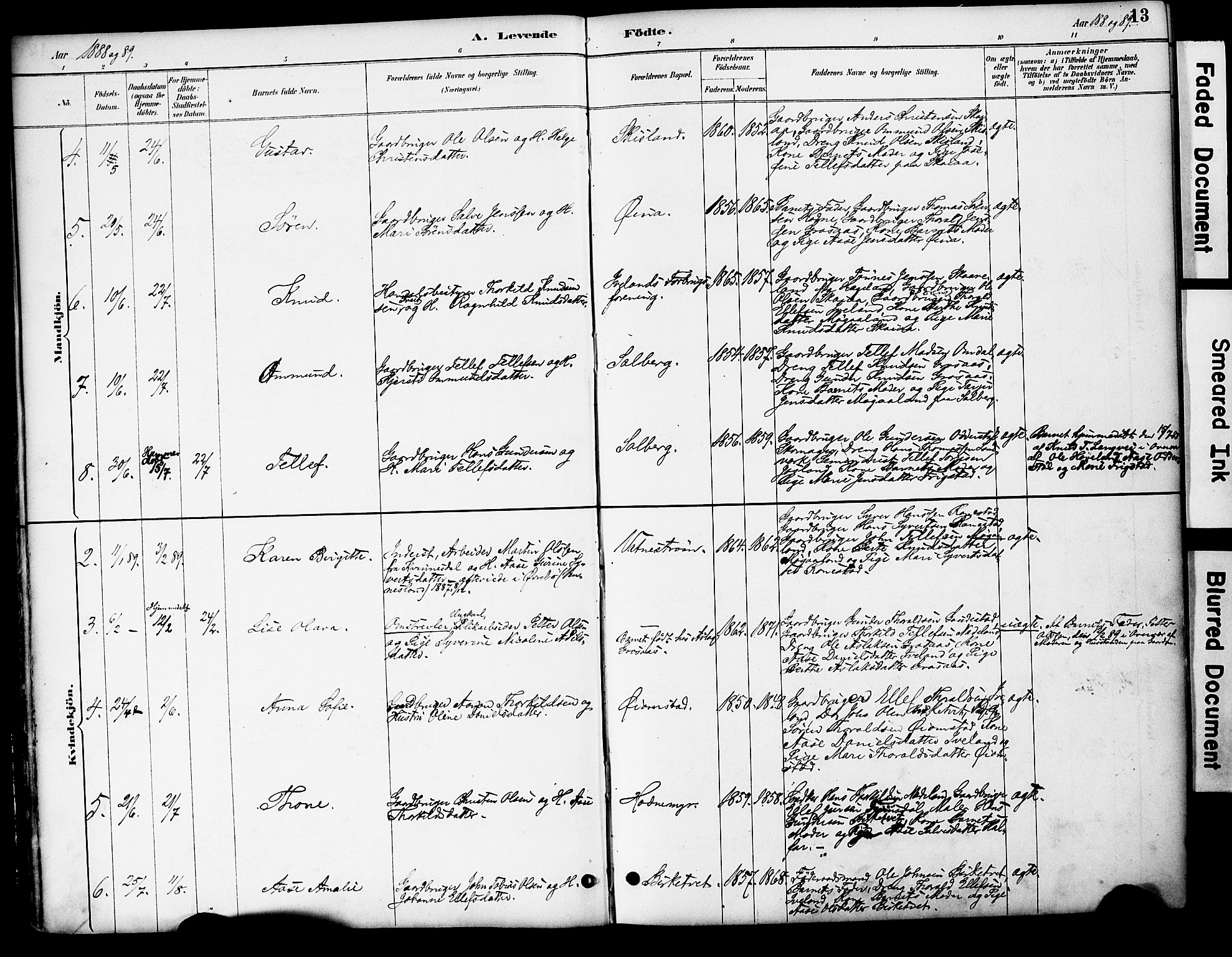 Evje sokneprestkontor, AV/SAK-1111-0008/F/Fa/Fac/L0003: Ministerialbok nr. A 3, 1884-1909, s. 13
