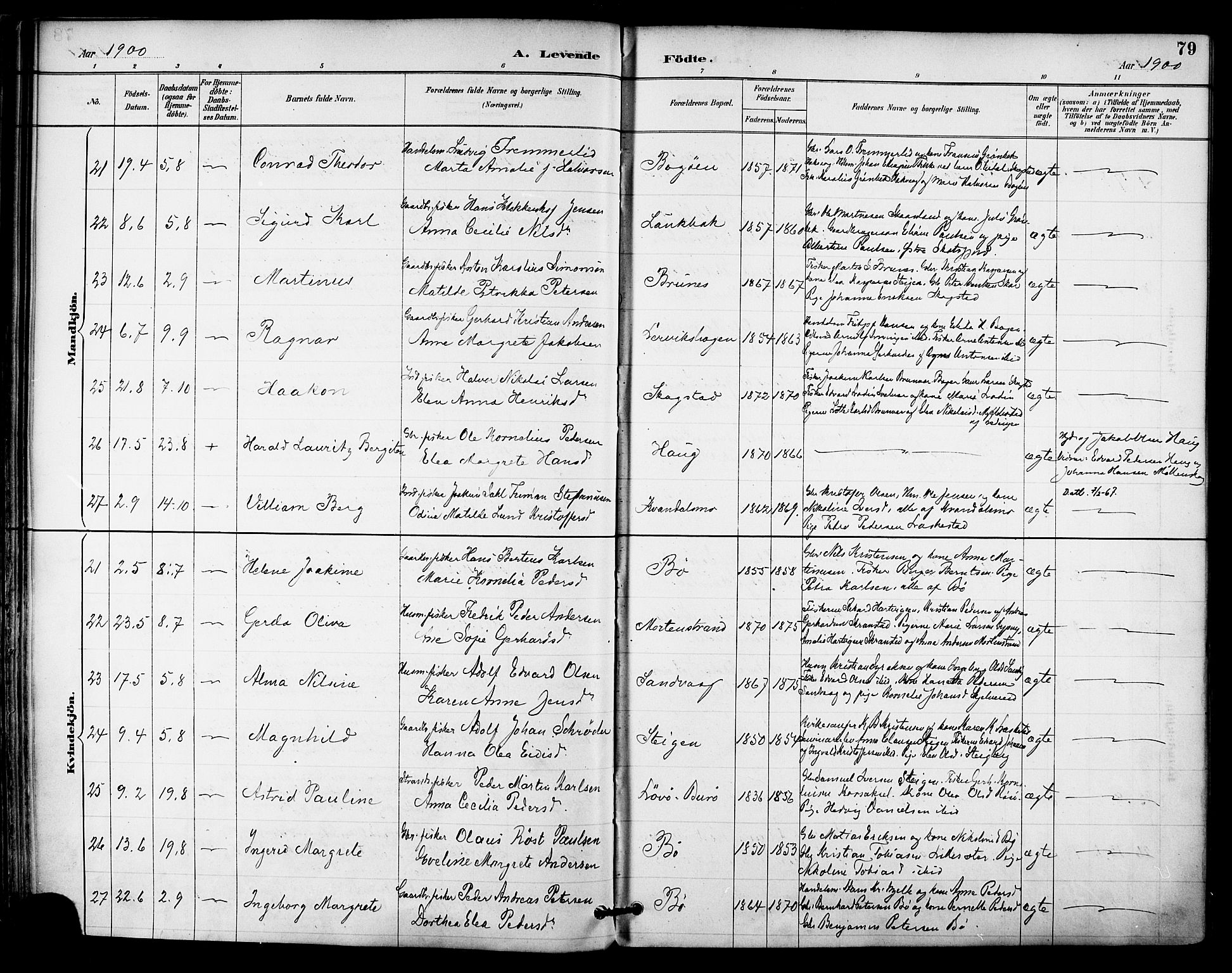 Ministerialprotokoller, klokkerbøker og fødselsregistre - Nordland, AV/SAT-A-1459/855/L0803: Ministerialbok nr. 855A11, 1887-1905, s. 79