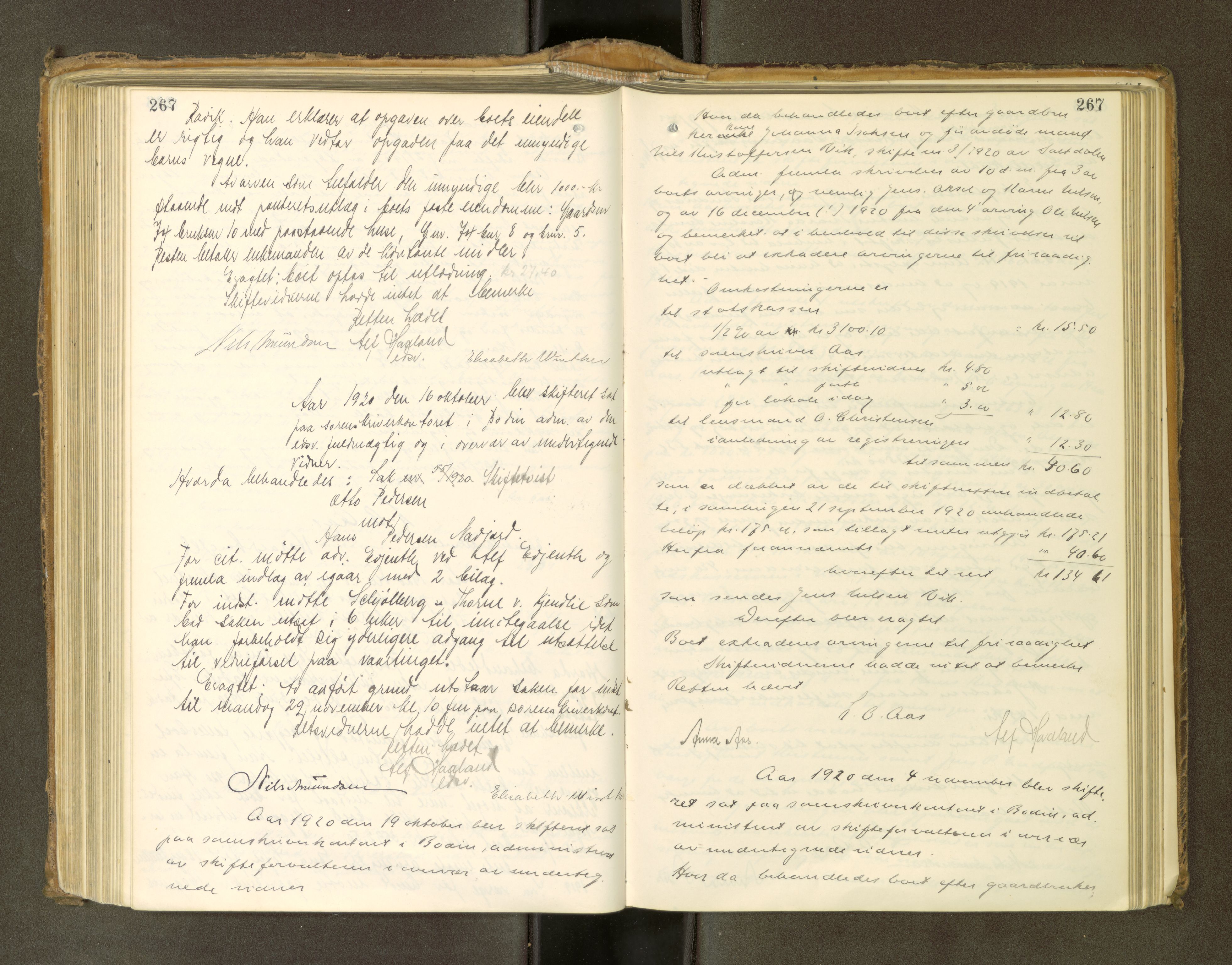 Salten sorenskriveri, AV/SAT-A-4578/1/3/3B/L0013: Skiftebehandlingsprotokoll, 1915-1922, s. 267
