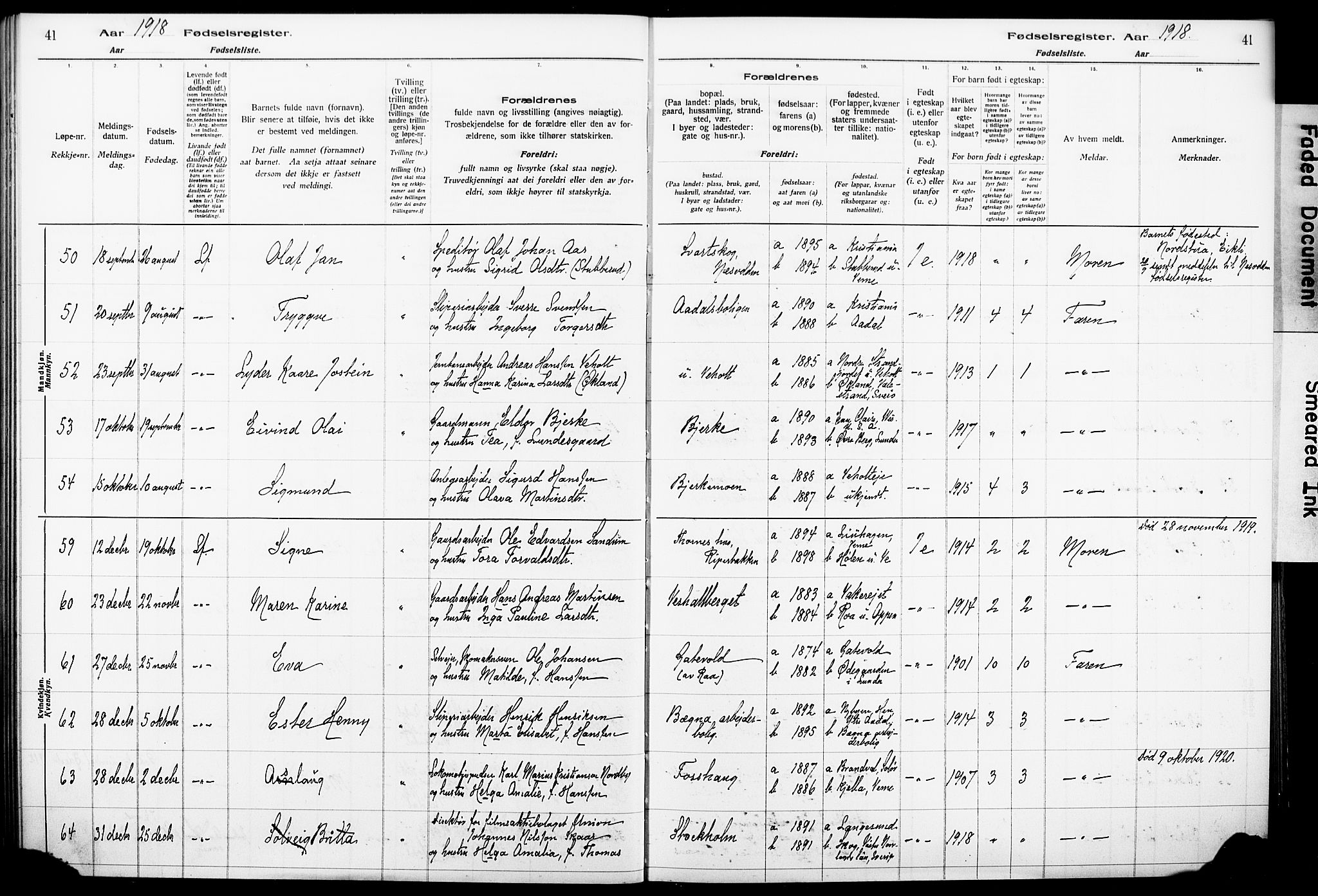 Norderhov kirkebøker, AV/SAKO-A-237/J/Ja/L0001: Fødselsregister nr. 1, 1916-1930, s. 41