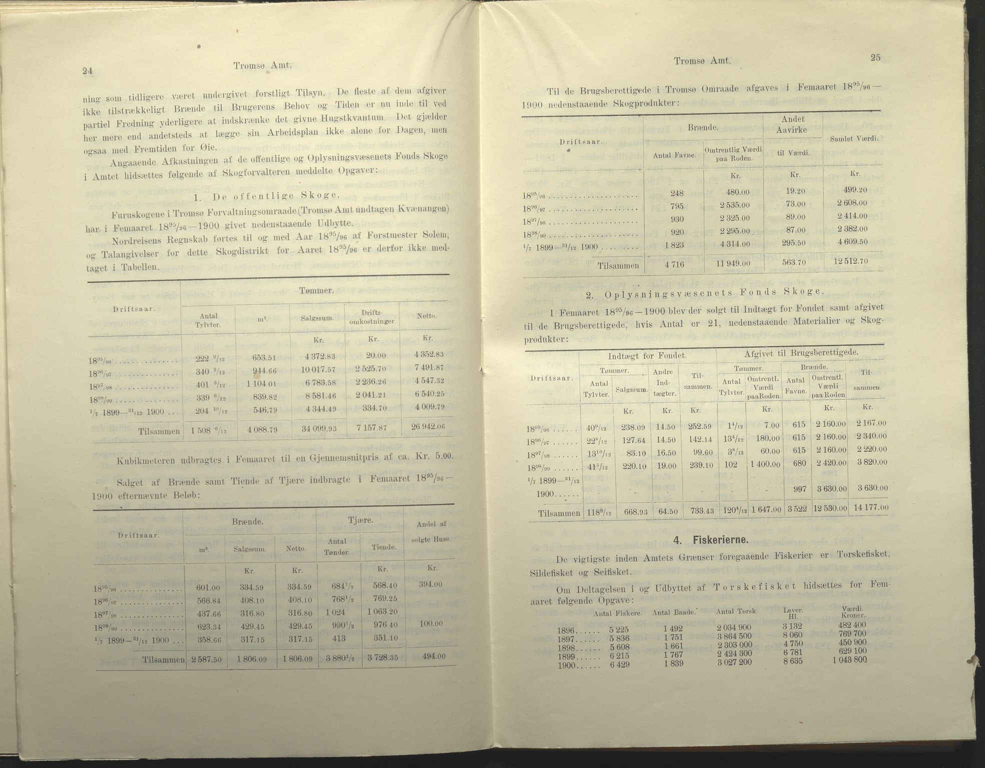 Fylkesmannen i Troms, AV/SATØ-S-0001/A7.25.1/L2072: Femårsberetninger, 1891-1900, s. 317