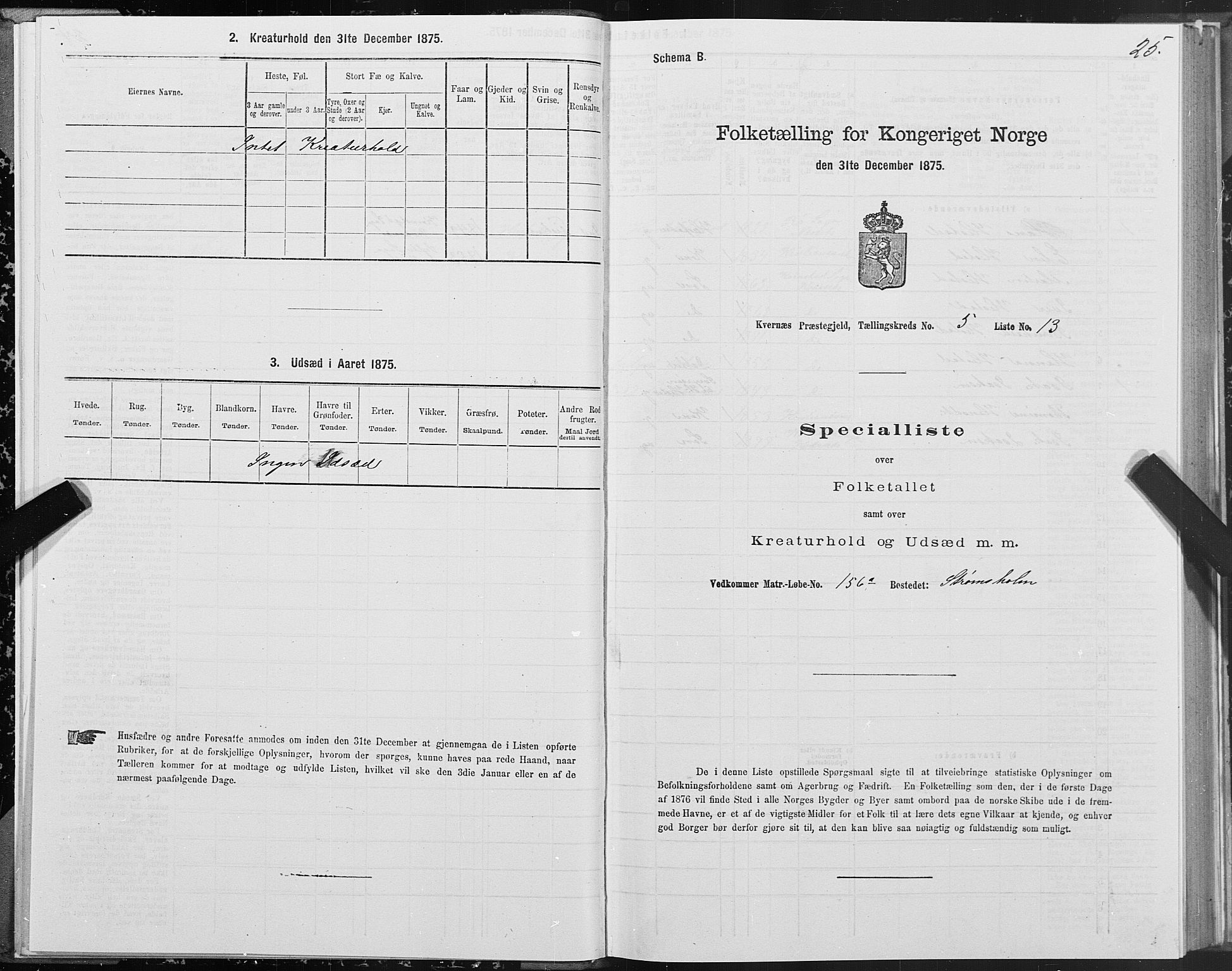 SAT, Folketelling 1875 for 1553P Kvernes prestegjeld, 1875, s. 3025