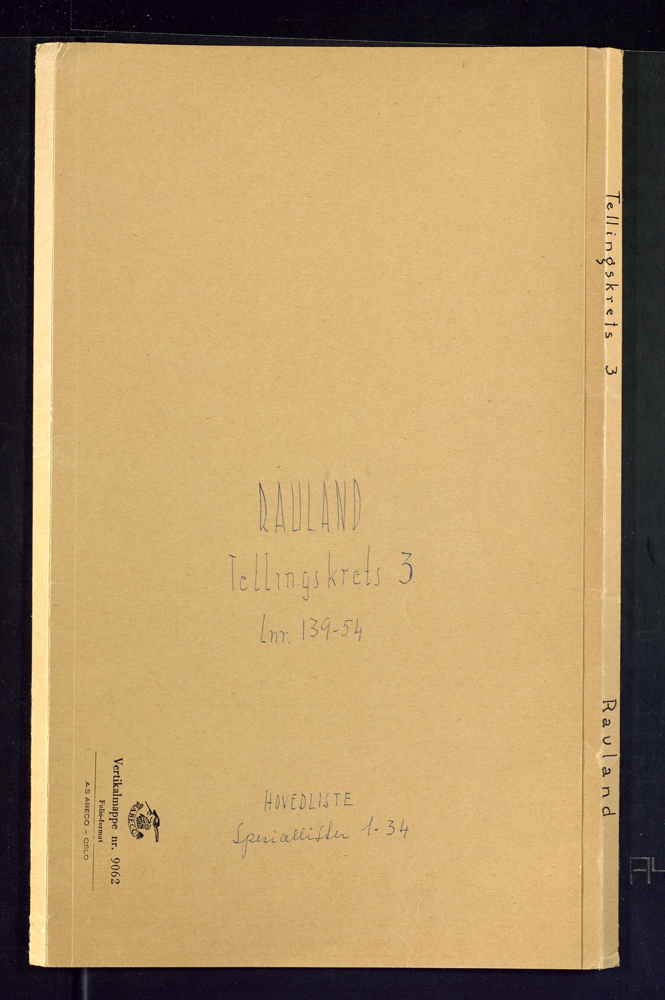 SAKO, Folketelling 1875 for 0835P Rauland prestegjeld, 1875, s. 9