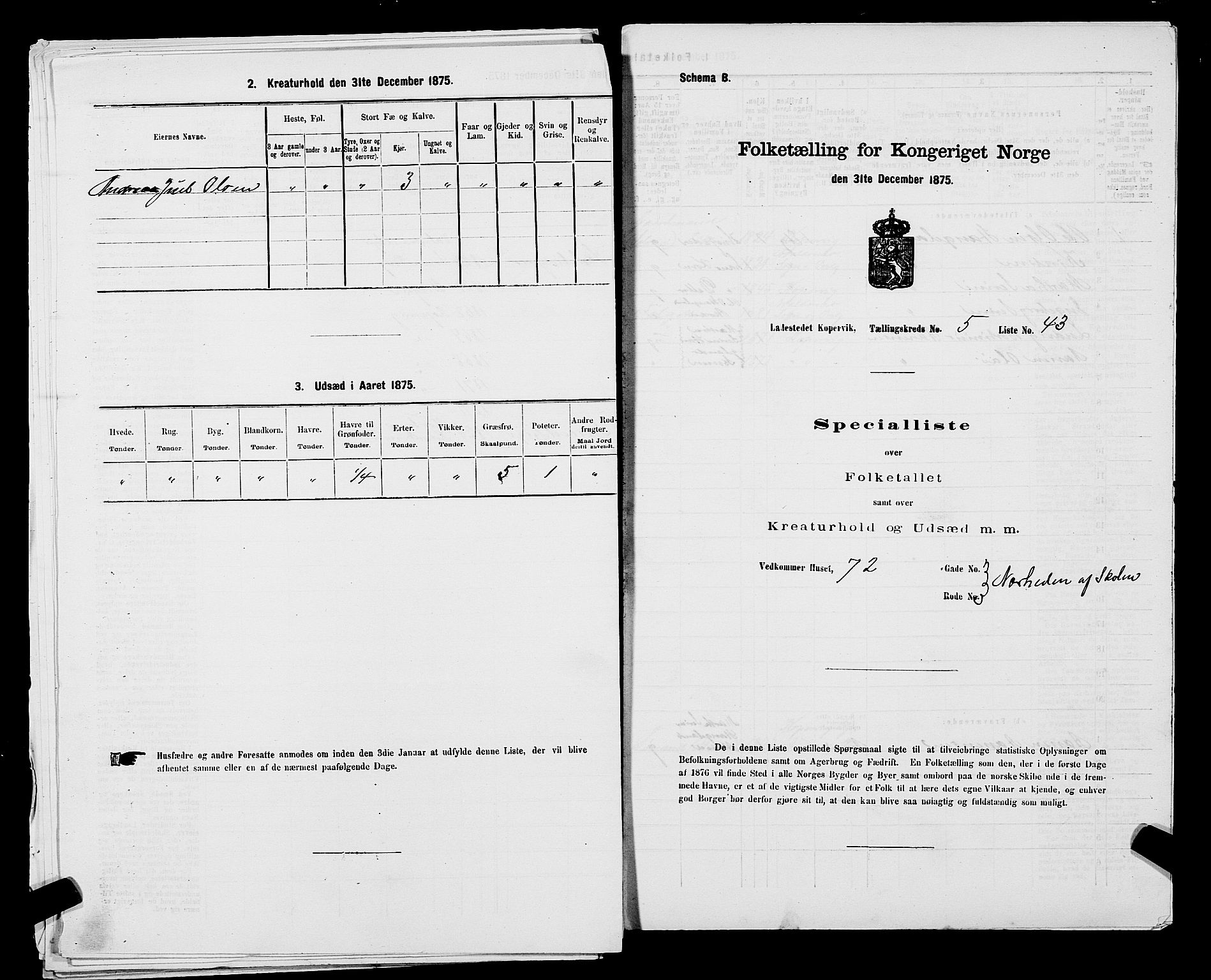 SAST, Folketelling 1875 for 1105B Avaldsnes prestegjeld, Kopervik ladested, 1875, s. 84