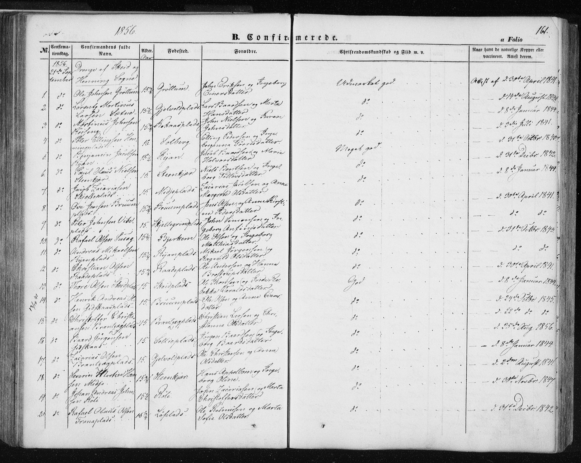 Ministerialprotokoller, klokkerbøker og fødselsregistre - Nord-Trøndelag, SAT/A-1458/735/L0342: Ministerialbok nr. 735A07 /1, 1849-1862, s. 161
