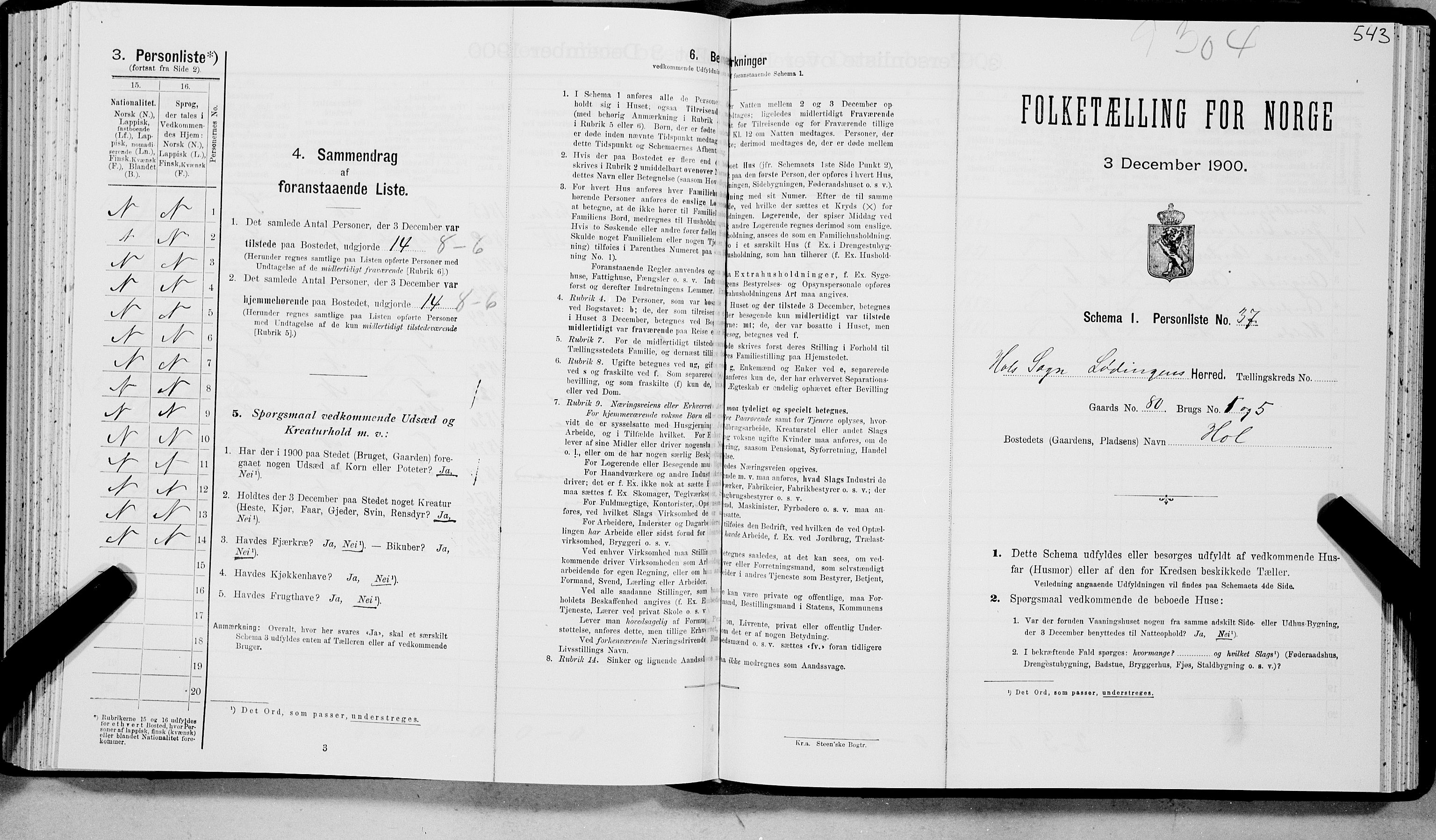 SAT, Folketelling 1900 for 1851 Lødingen herred, 1900, s. 1024