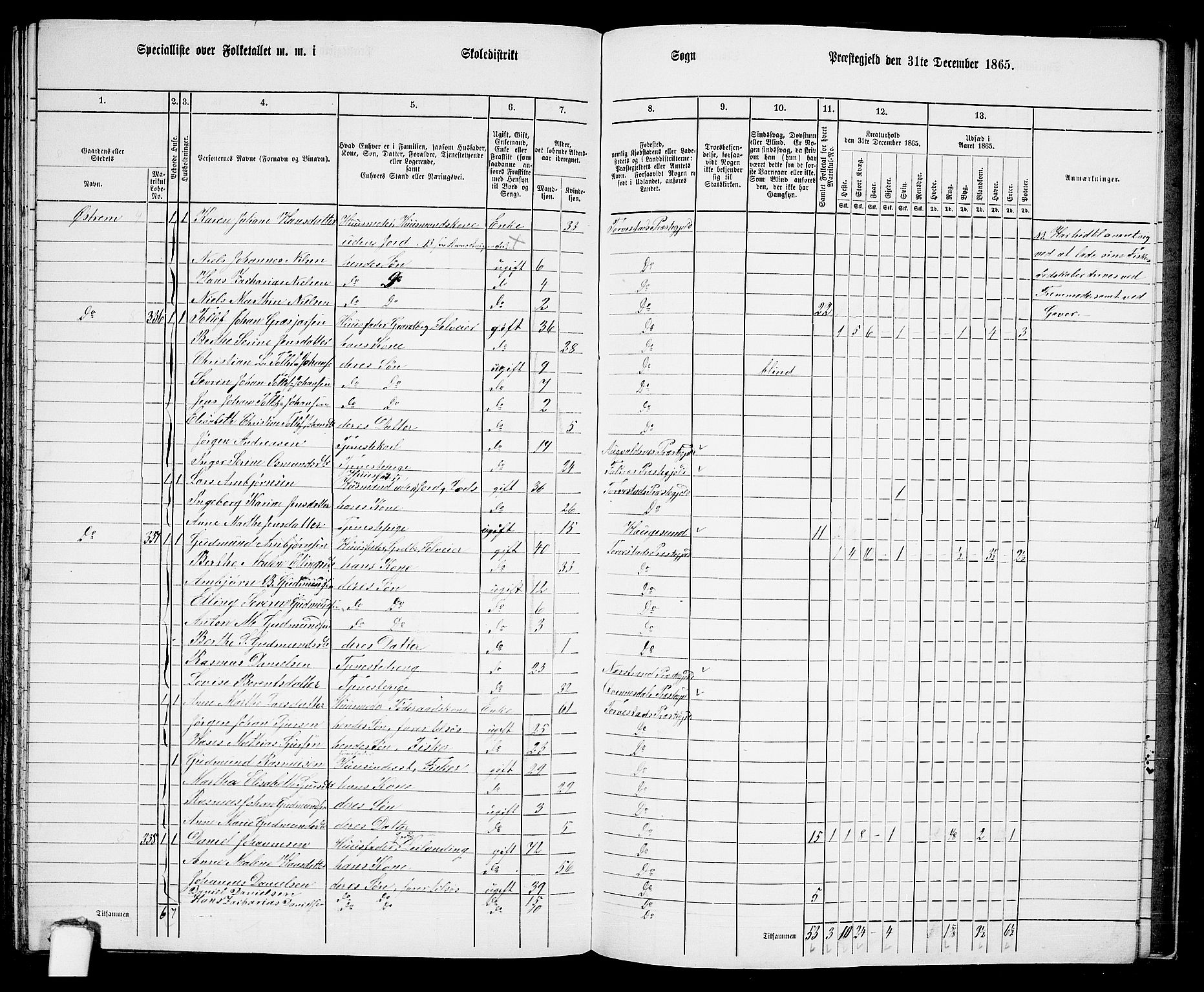 RA, Folketelling 1865 for 1152L Torvastad prestegjeld, Torvastad sokn, Skåre sokn og Utsira sokn, 1865, s. 141