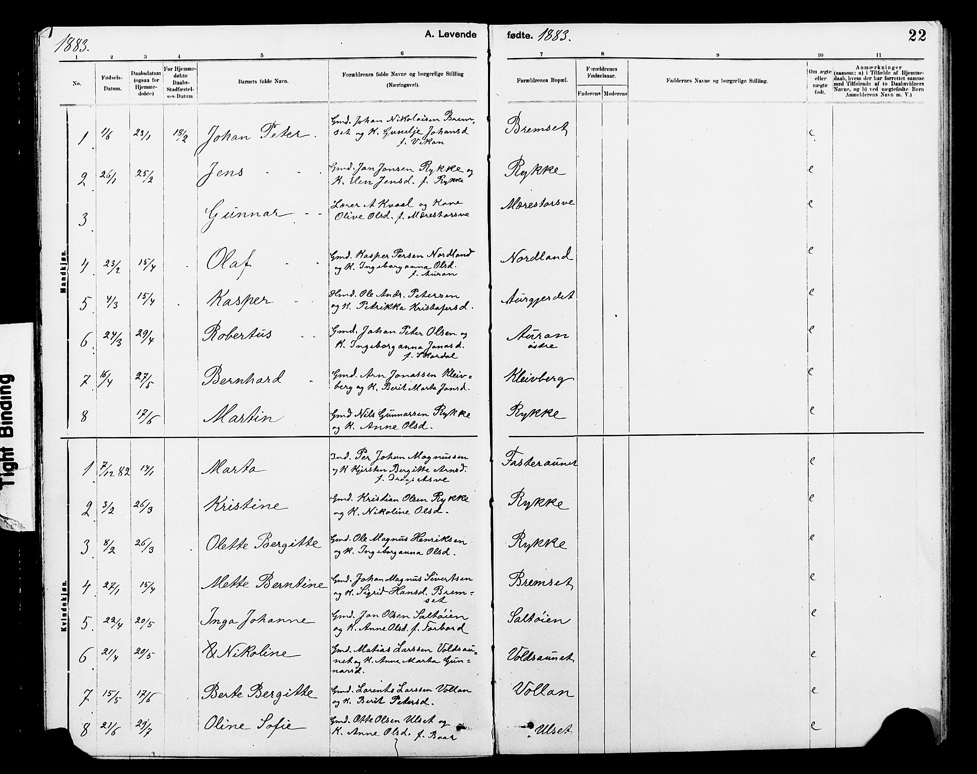 Ministerialprotokoller, klokkerbøker og fødselsregistre - Nord-Trøndelag, SAT/A-1458/712/L0103: Klokkerbok nr. 712C01, 1878-1917, s. 22