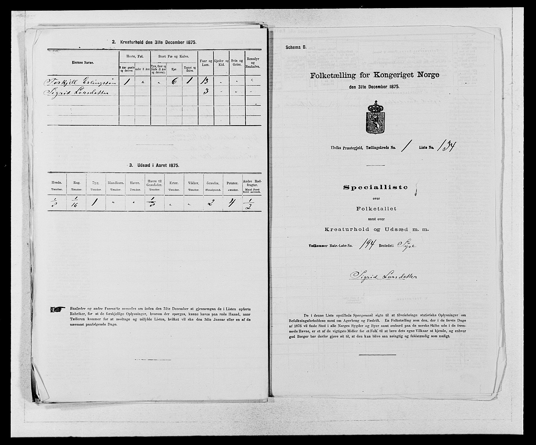 SAB, Folketelling 1875 for 1233P Ulvik prestegjeld, 1875, s. 295