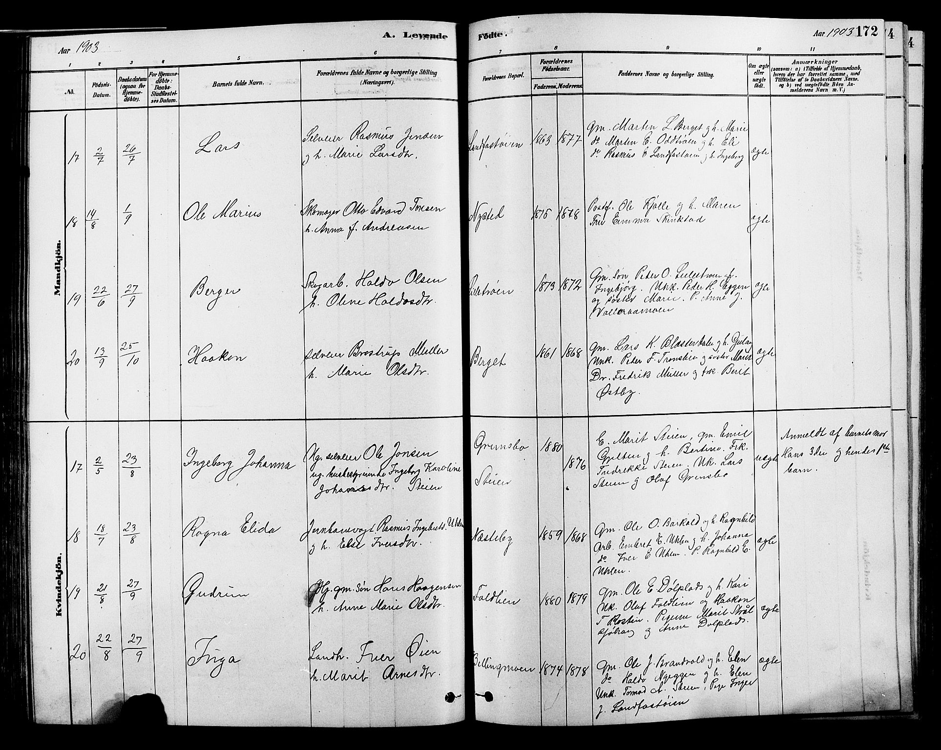 Alvdal prestekontor, SAH/PREST-060/H/Ha/Hab/L0003: Klokkerbok nr. 3, 1878-1907, s. 172