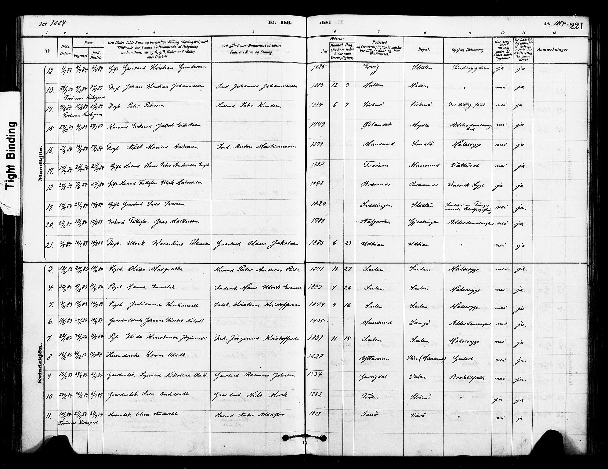 Ministerialprotokoller, klokkerbøker og fødselsregistre - Sør-Trøndelag, AV/SAT-A-1456/640/L0578: Ministerialbok nr. 640A03, 1879-1889, s. 221