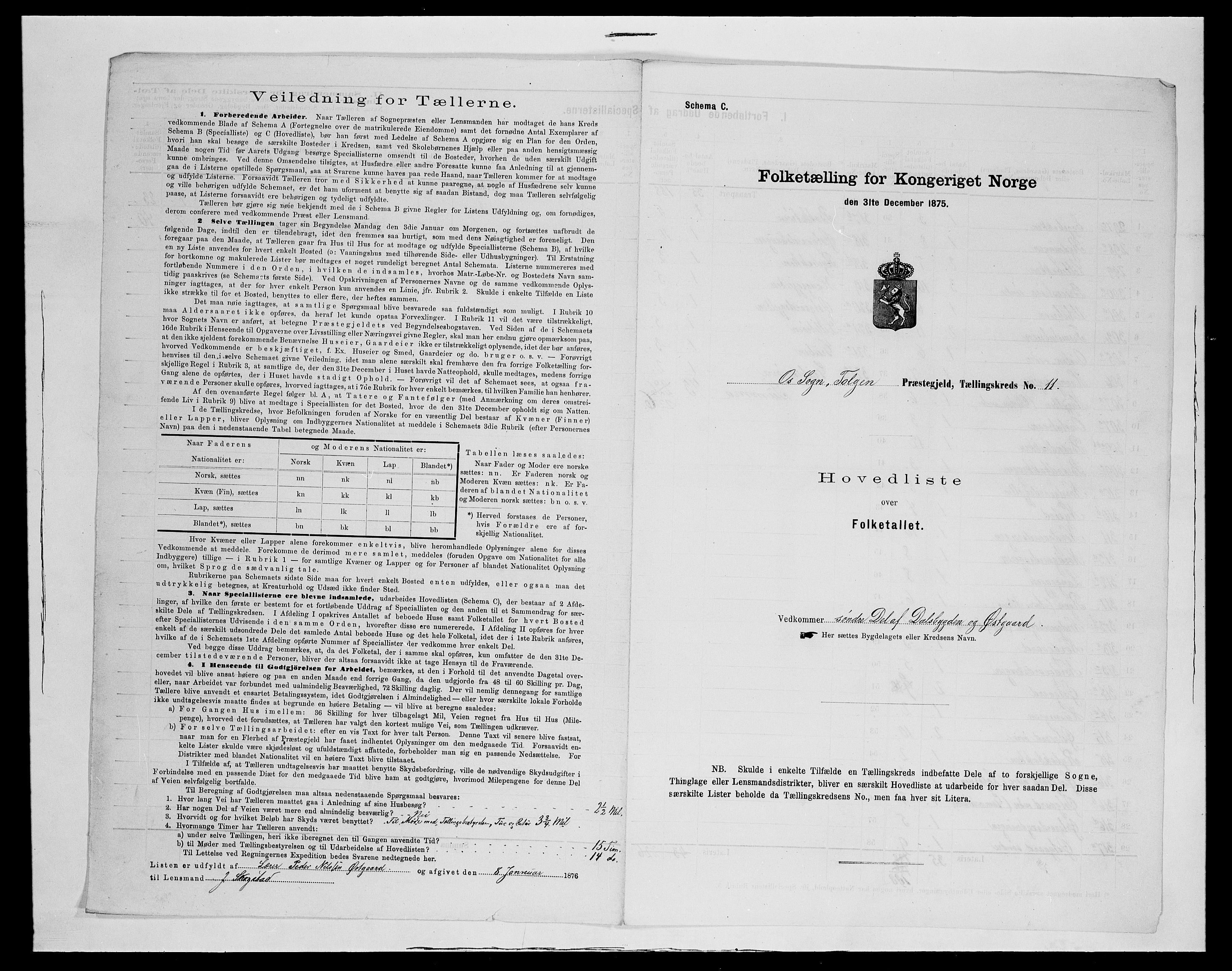 SAH, Folketelling 1875 for 0436P Tolga prestegjeld, 1875, s. 119