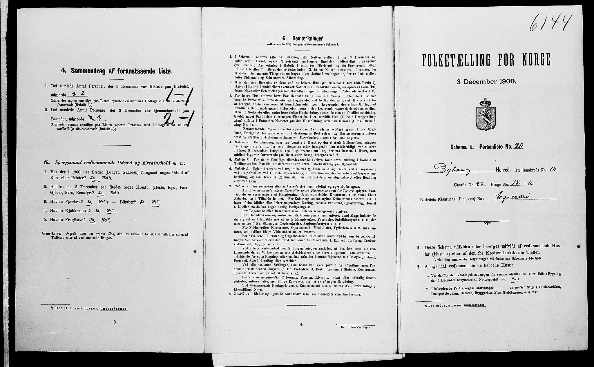 SAK, Folketelling 1900 for 0915 Dypvåg herred, 1900, s. 1100