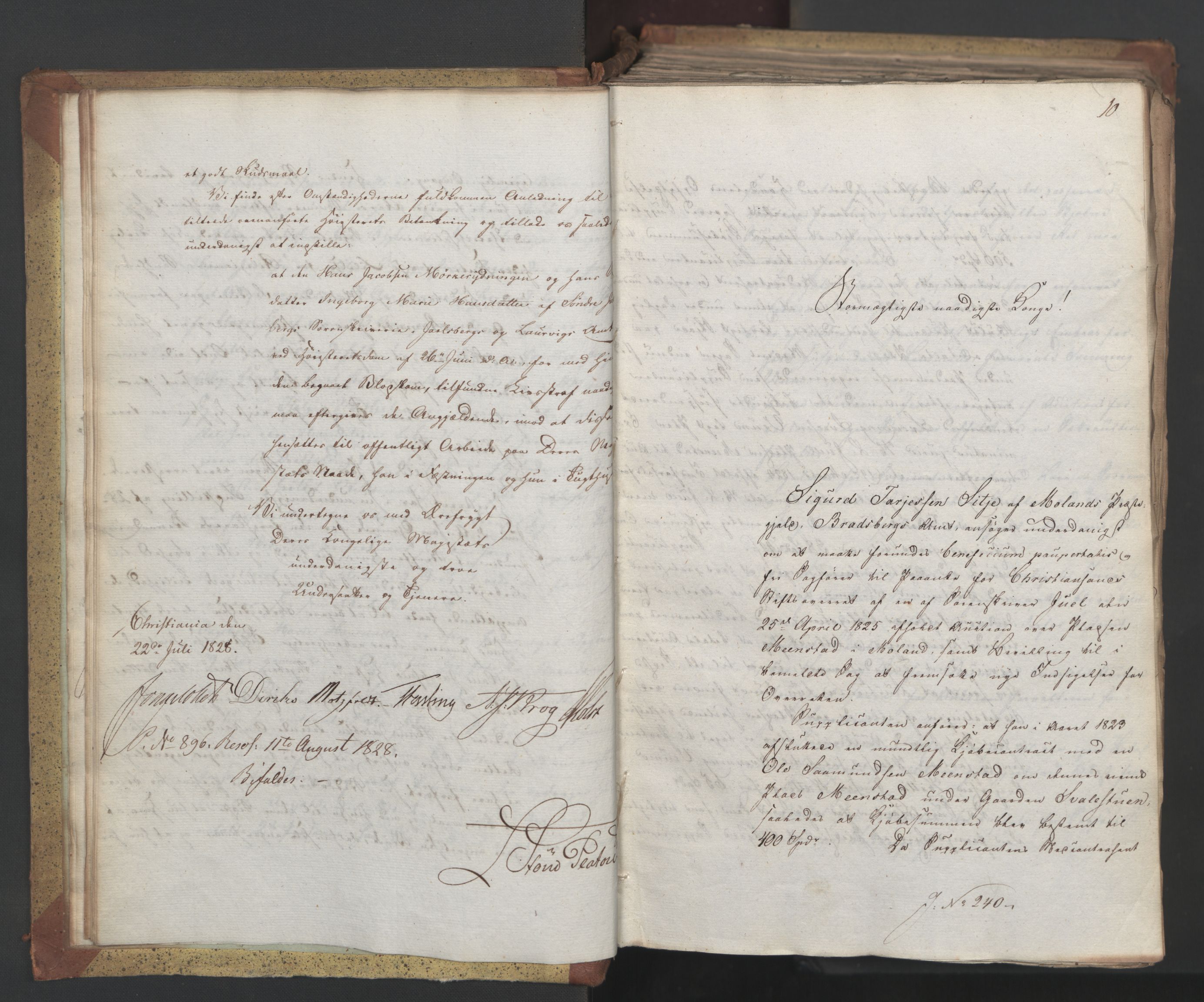 Statsrådsavdelingen i Stockholm, AV/RA-S-1003/D/Da/L0055: Regjeringsinnstillinger nr. 231-435, 1828, s. 19