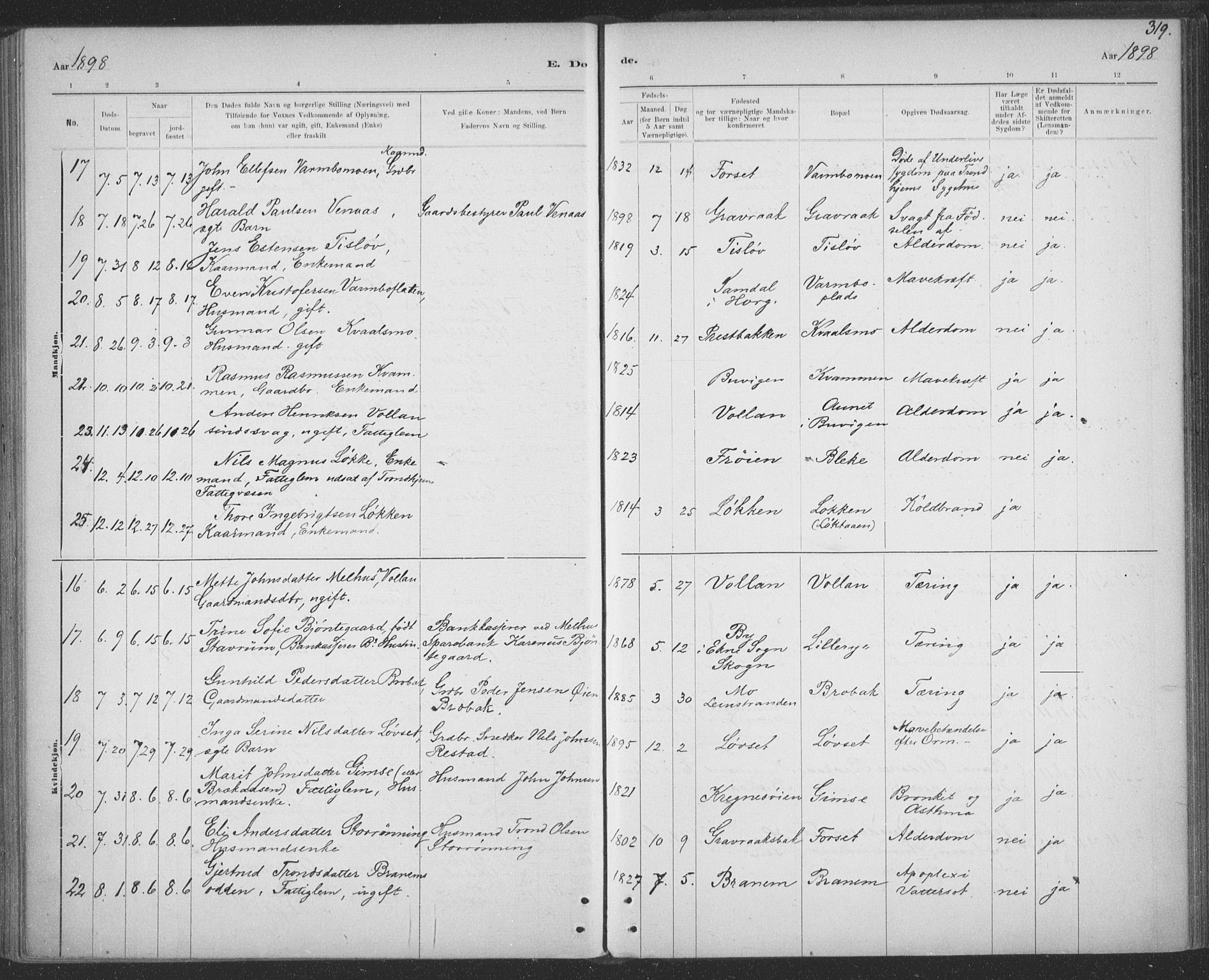 Ministerialprotokoller, klokkerbøker og fødselsregistre - Sør-Trøndelag, AV/SAT-A-1456/691/L1085: Ministerialbok nr. 691A17, 1887-1908, s. 319