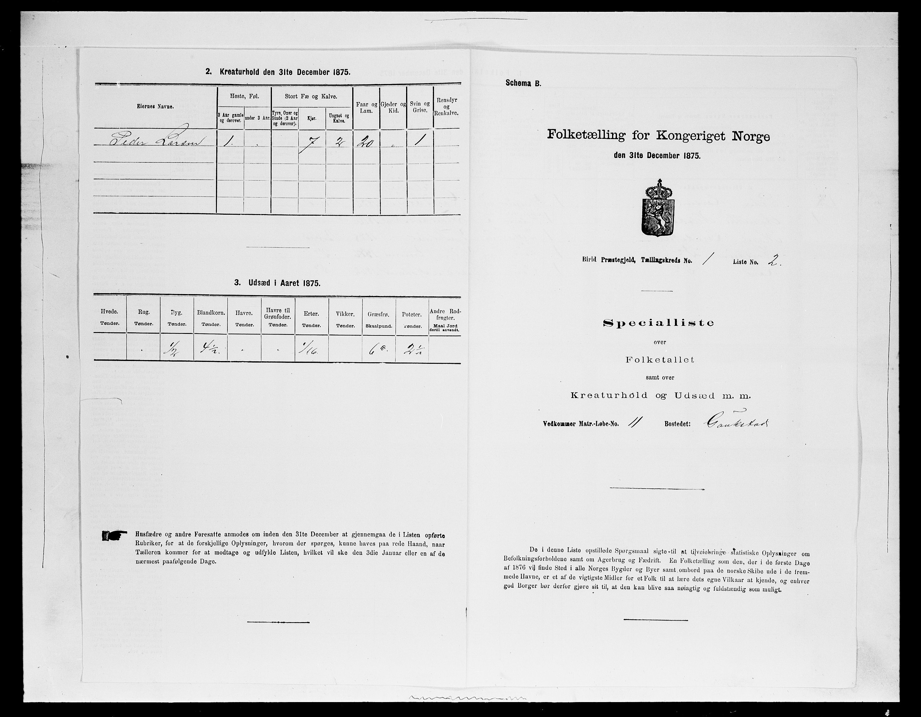 SAH, Folketelling 1875 for 0525P Biri prestegjeld, 1875, s. 293