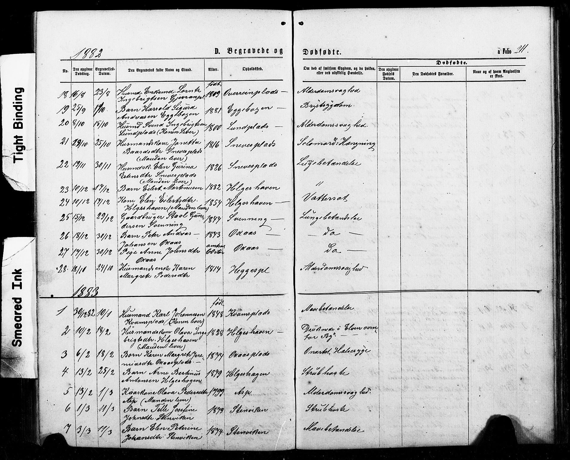 Ministerialprotokoller, klokkerbøker og fødselsregistre - Nord-Trøndelag, SAT/A-1458/740/L0380: Klokkerbok nr. 740C01, 1868-1902, s. 211