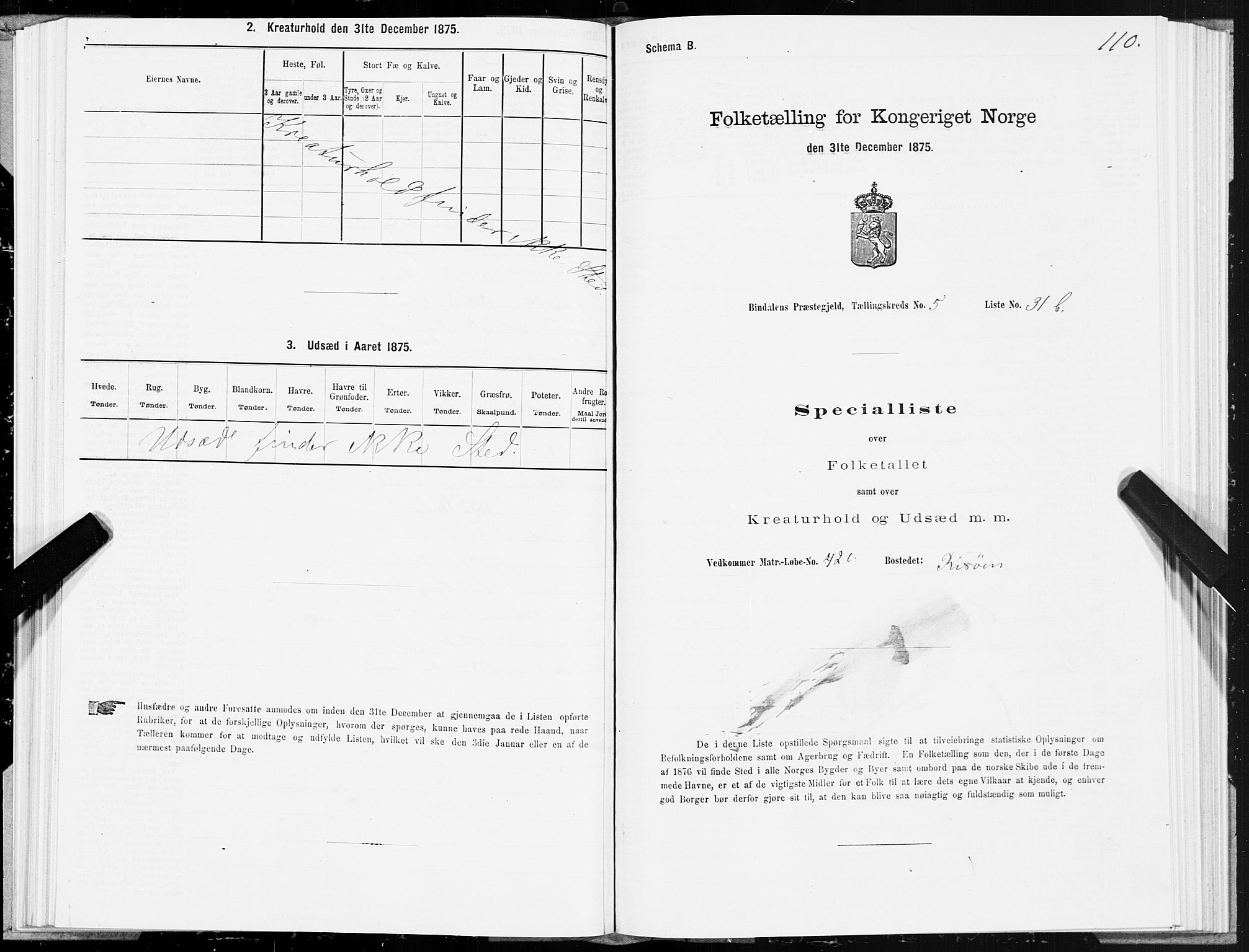 SAT, Folketelling 1875 for 1811P Bindal prestegjeld, 1875, s. 2110